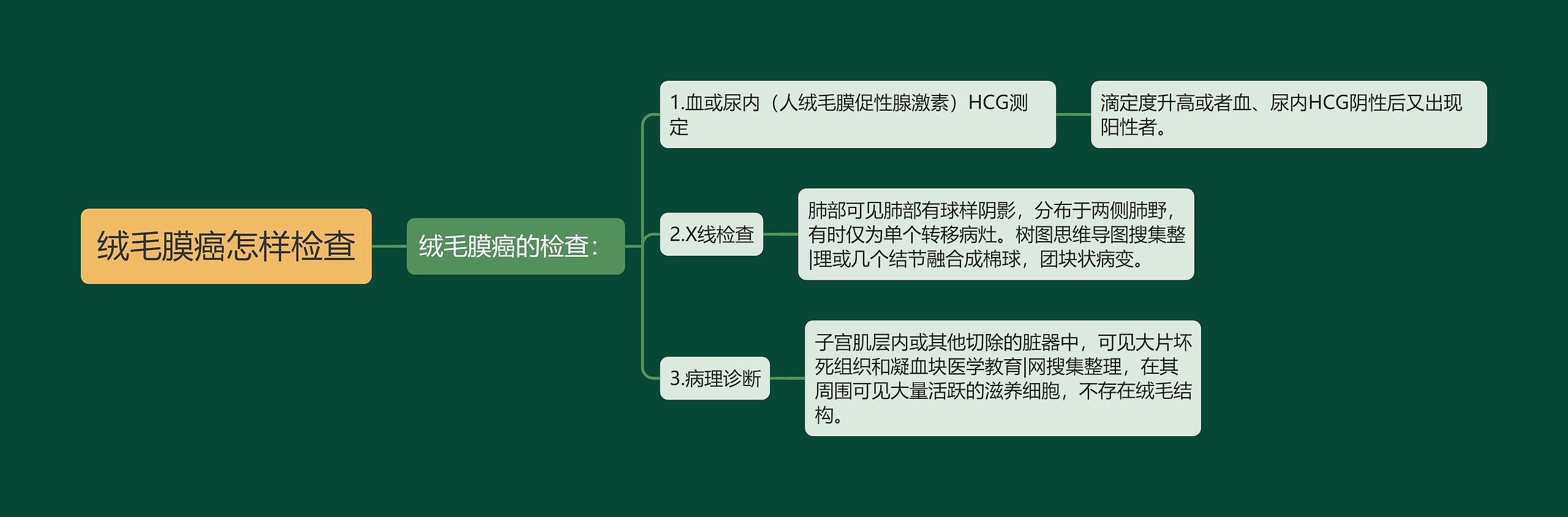 绒毛膜癌怎样检查思维导图