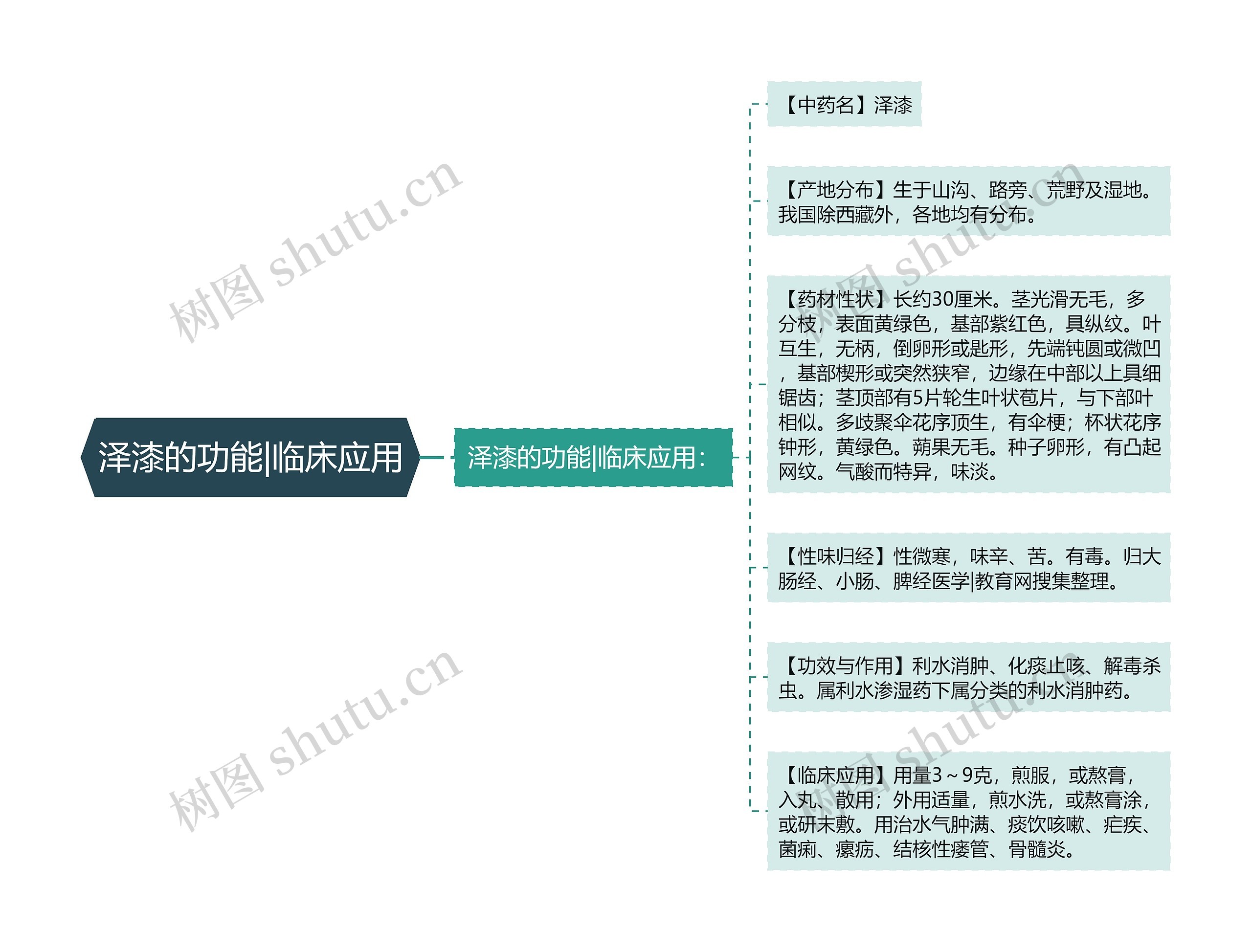 泽漆的功能|临床应用思维导图