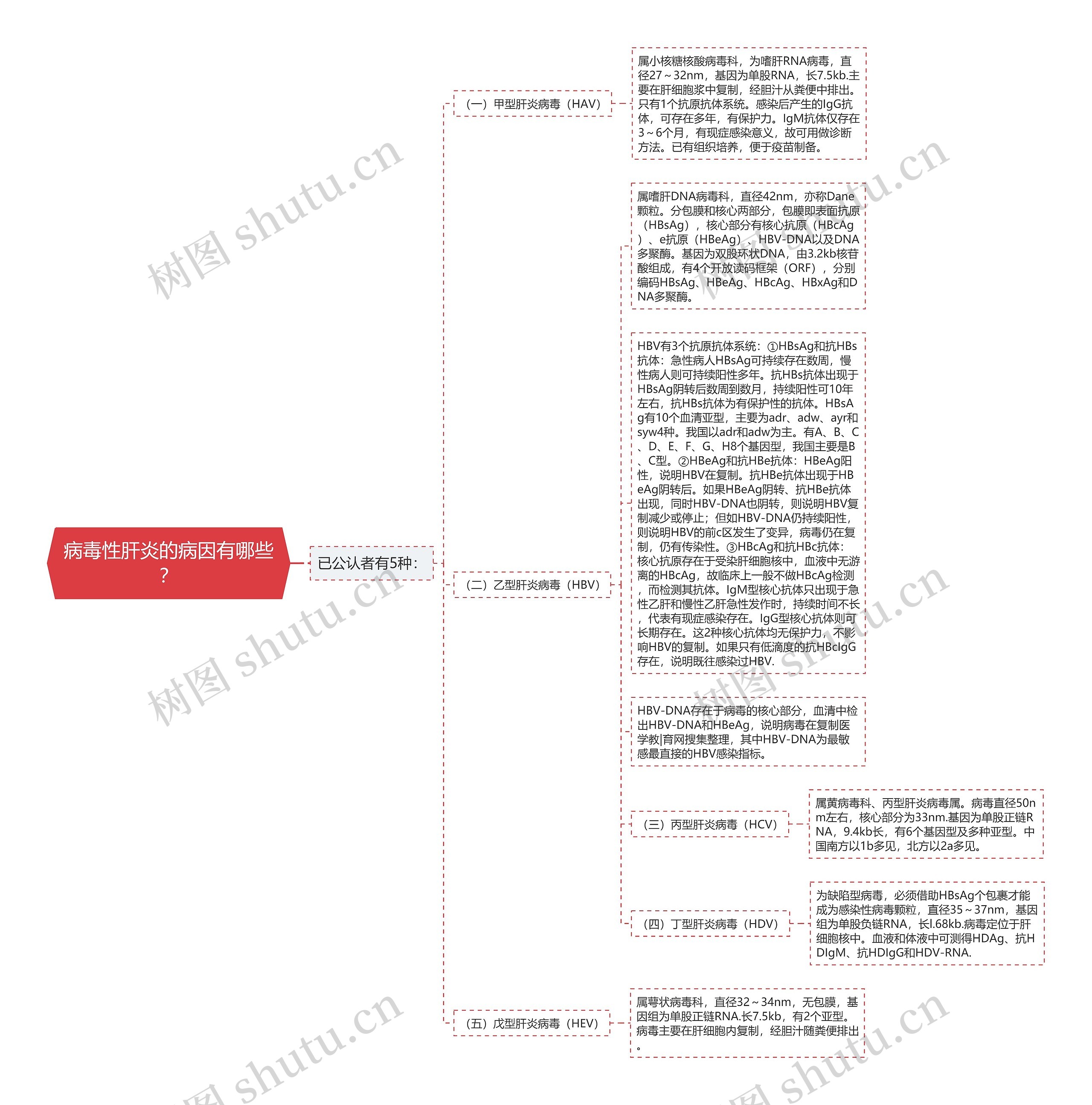 病毒性肝炎的病因有哪些? 病毒性肝炎的病因有哪些?