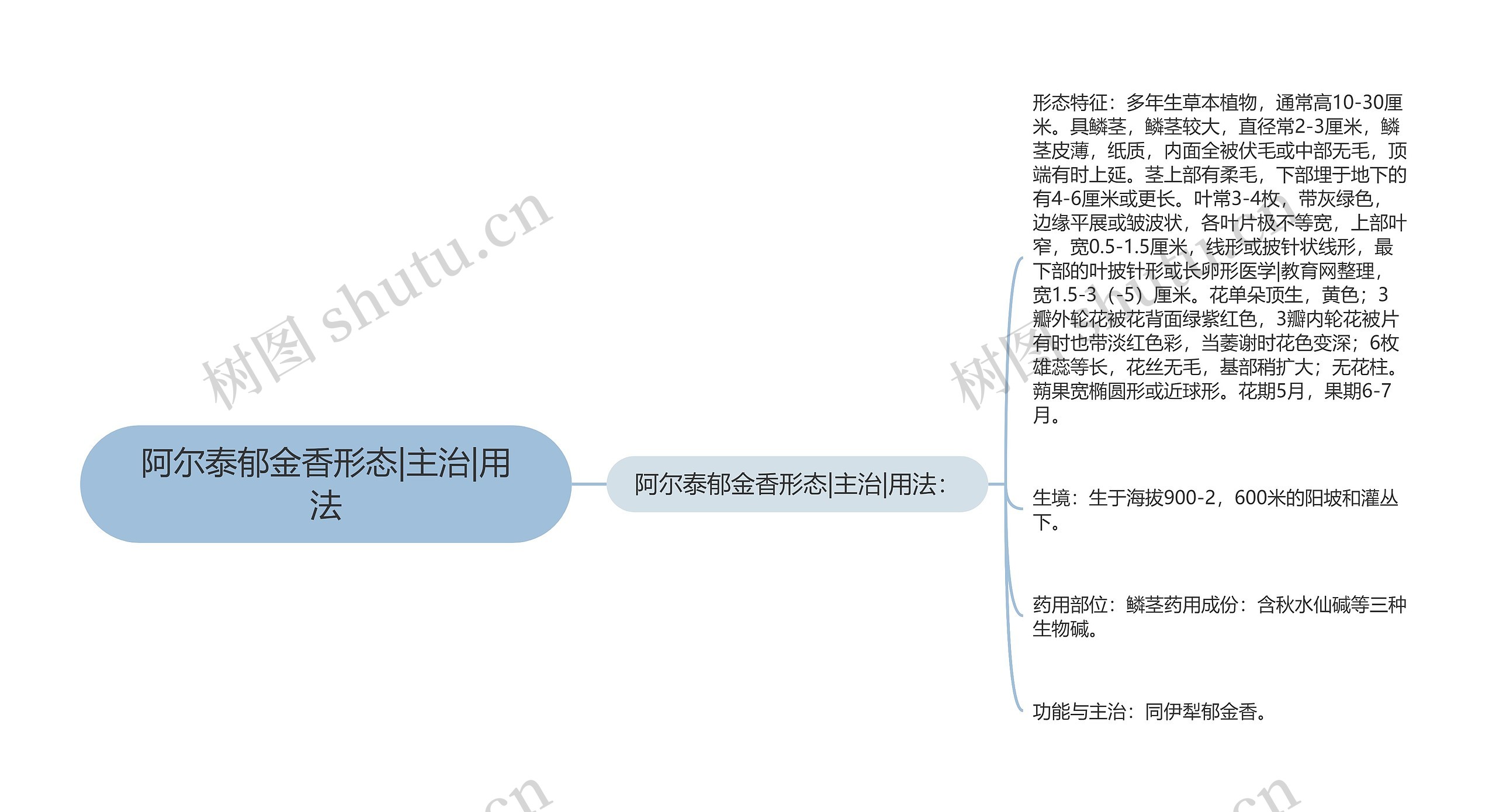 阿尔泰郁金香形态|主治|用法思维导图