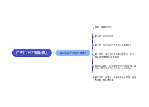 口周肌上组肌群概述