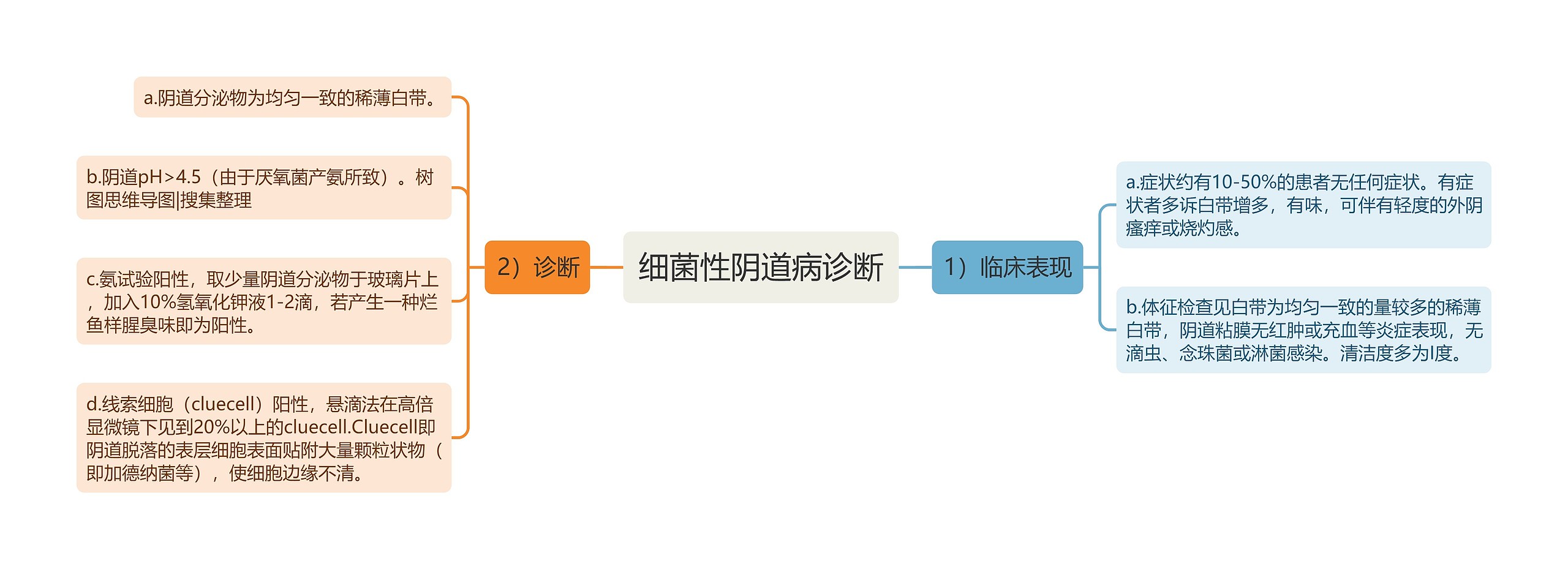 细菌性阴道病诊断思维导图