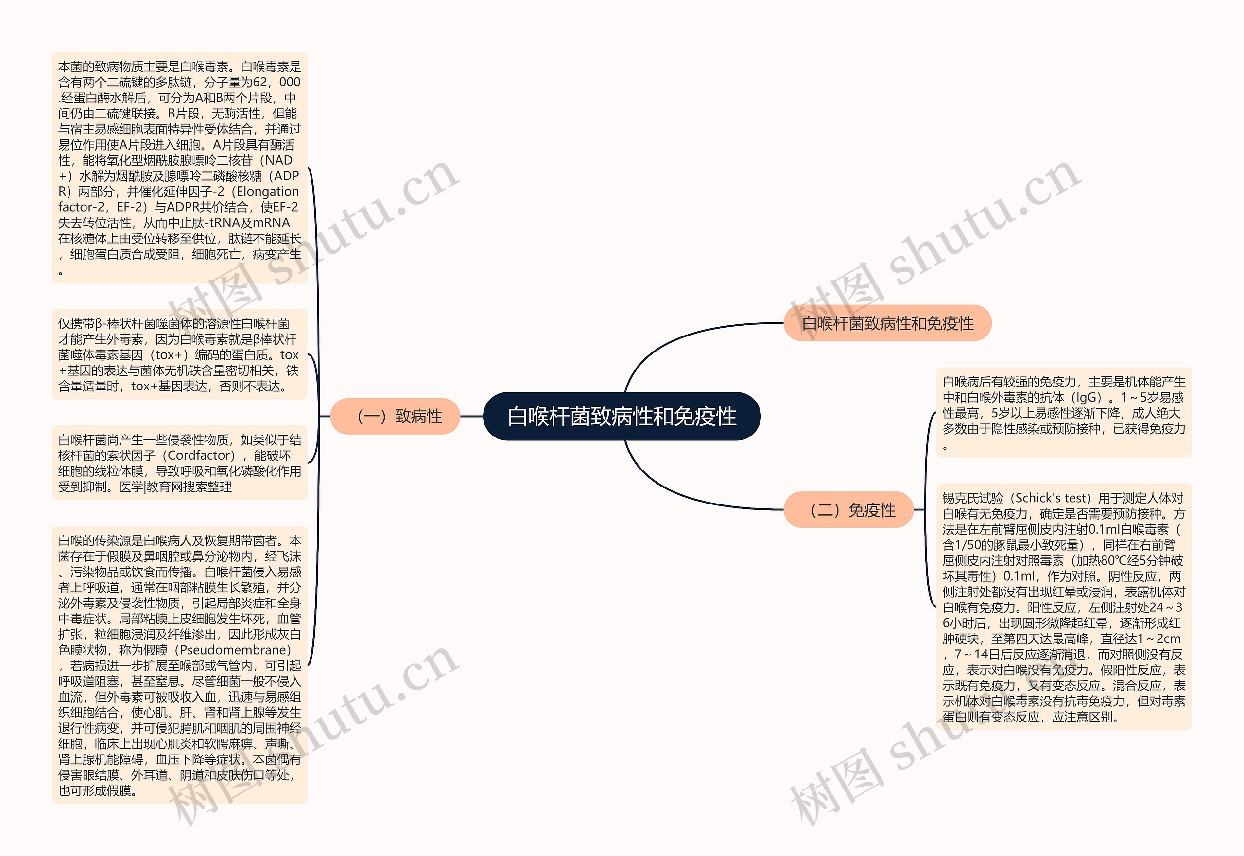 白喉杆菌致病性和免疫性思维导图