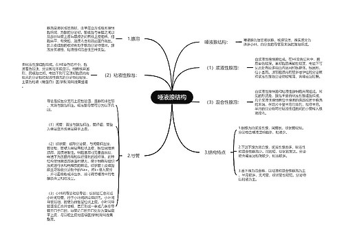 唾液腺结构