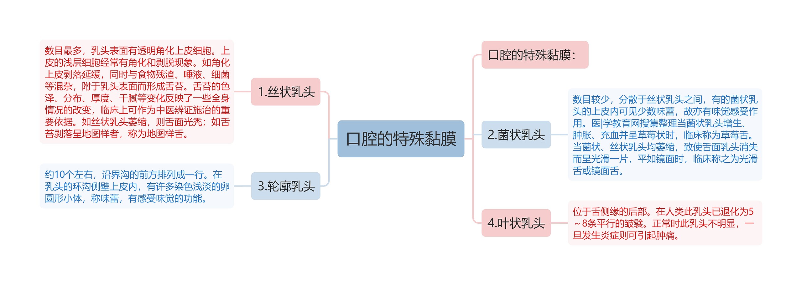 口腔的特殊黏膜