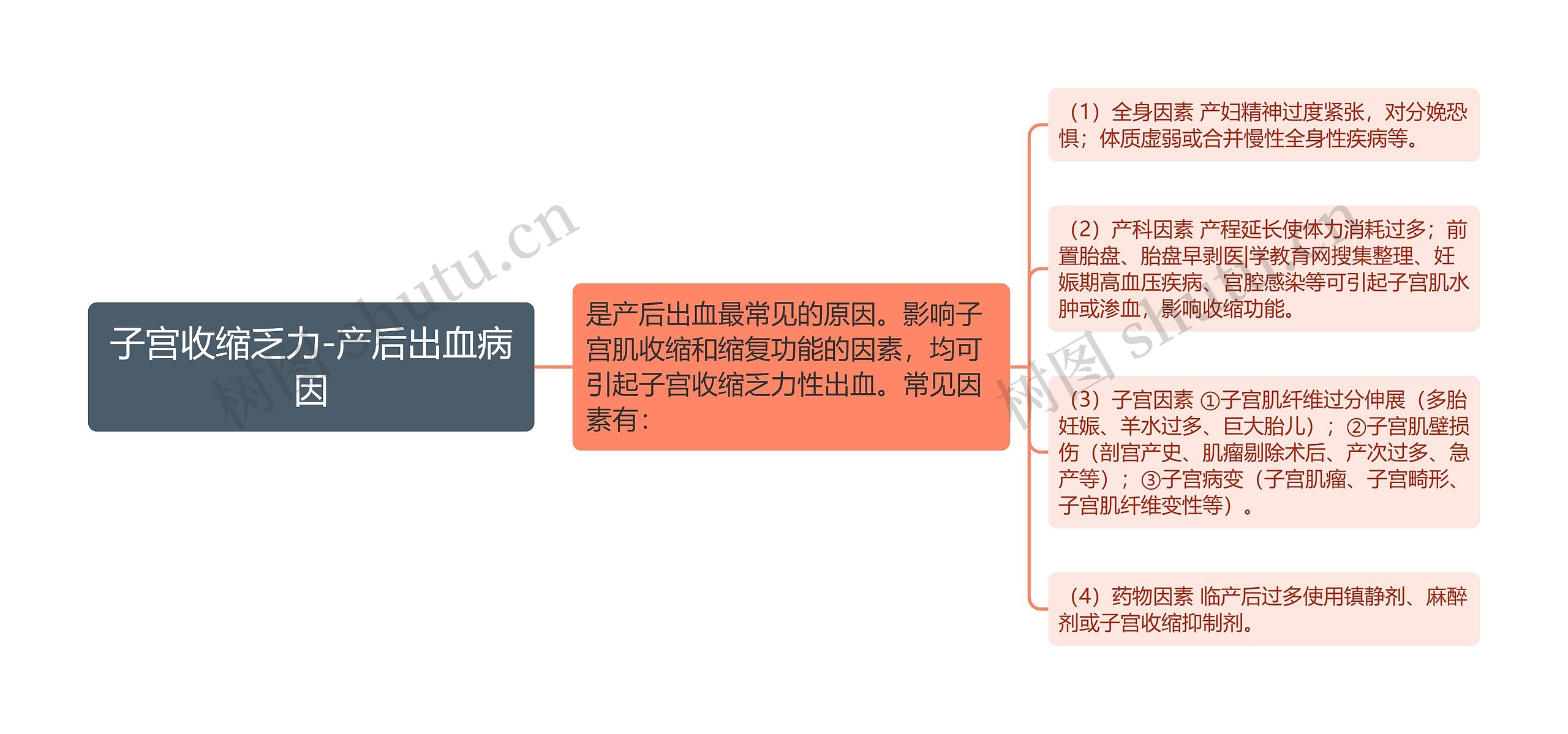 子宫收缩乏力-产后出血病因思维导图