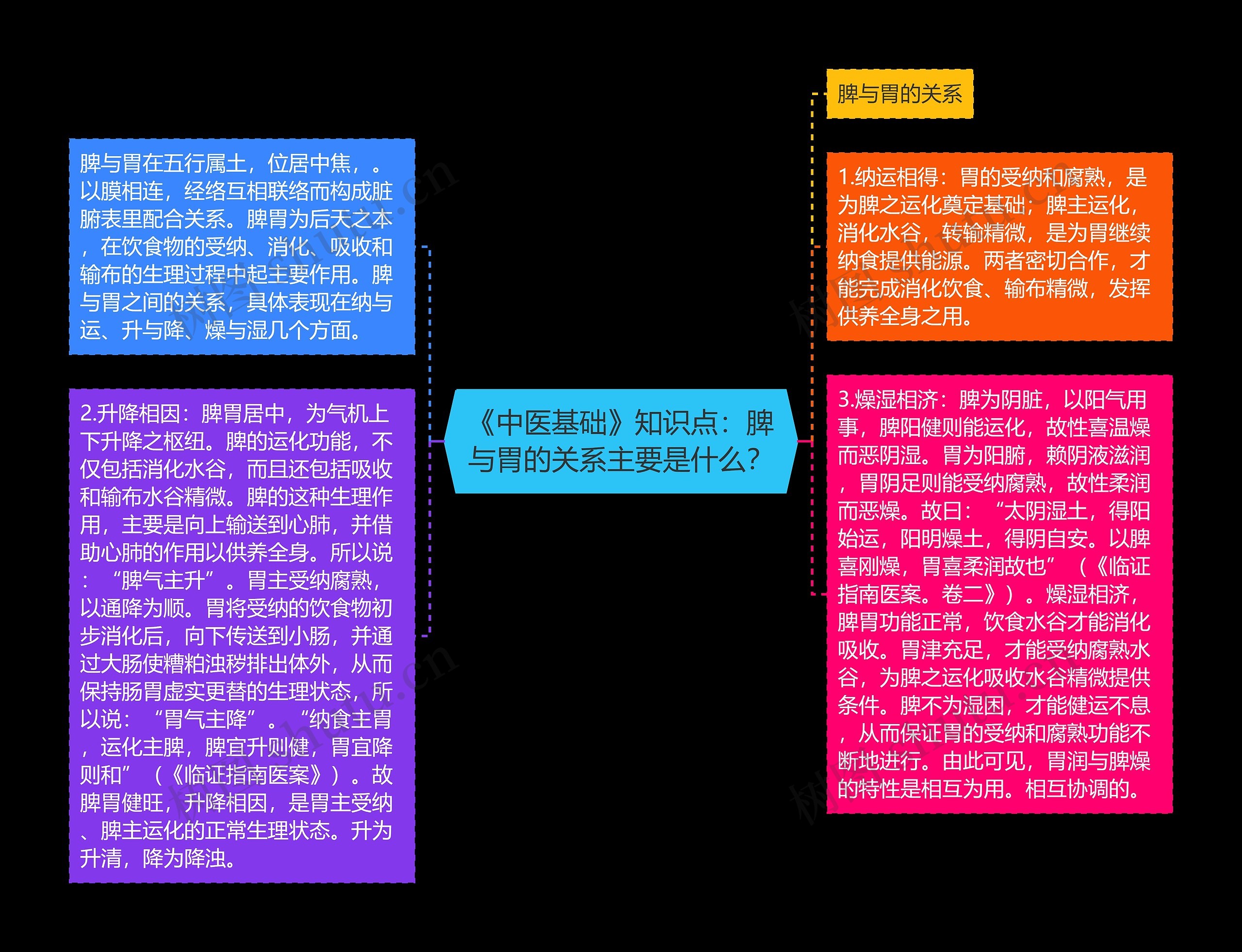 《中医基础》知识点：脾与胃的关系主要是什么？