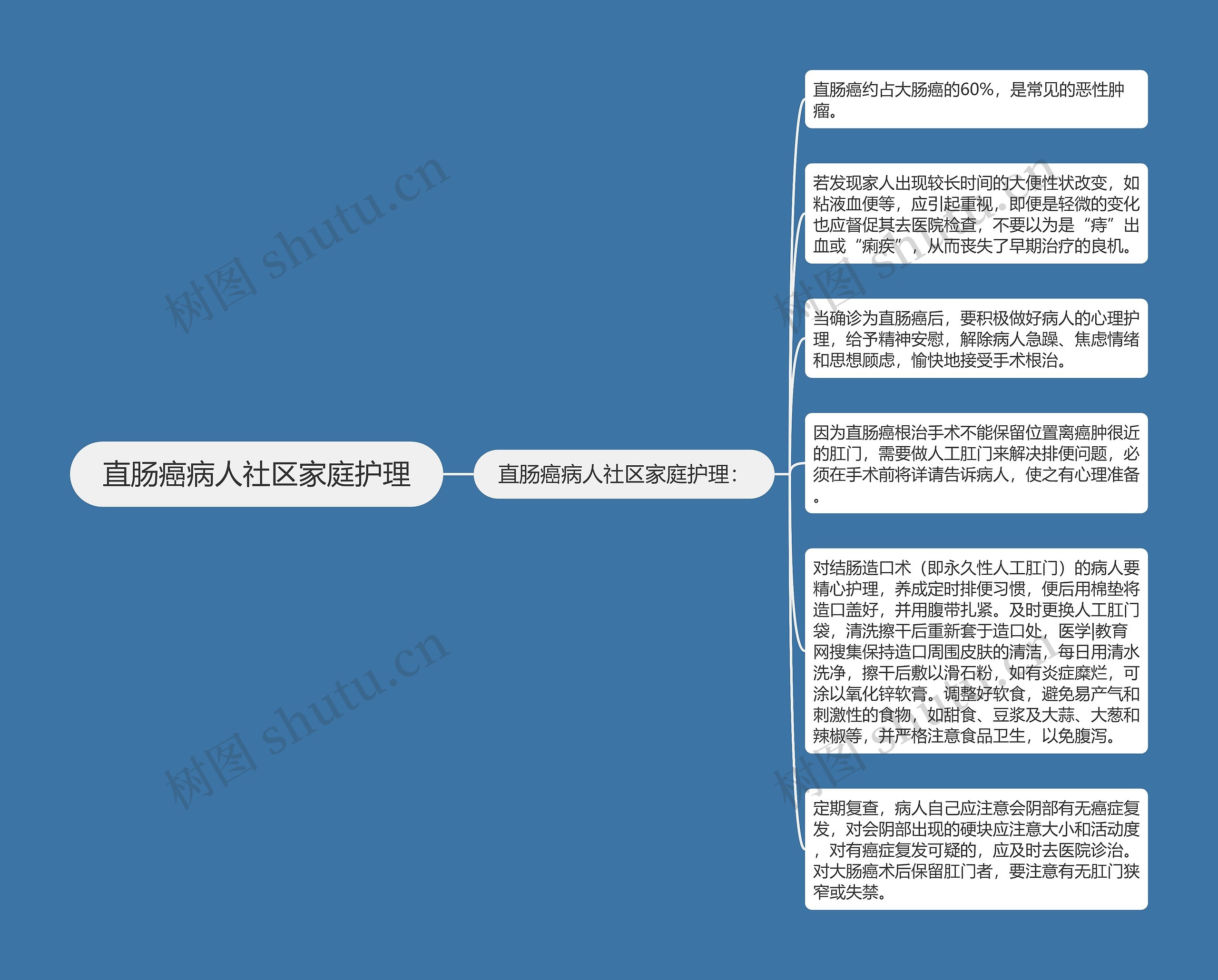 直肠癌病人社区家庭护理思维导图