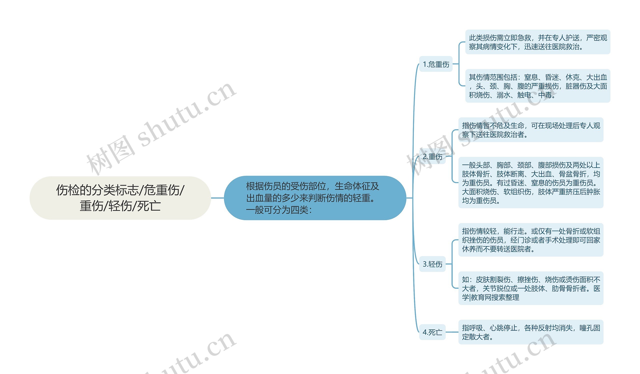 伤检的分类标志/危重伤/重伤/轻伤/死亡