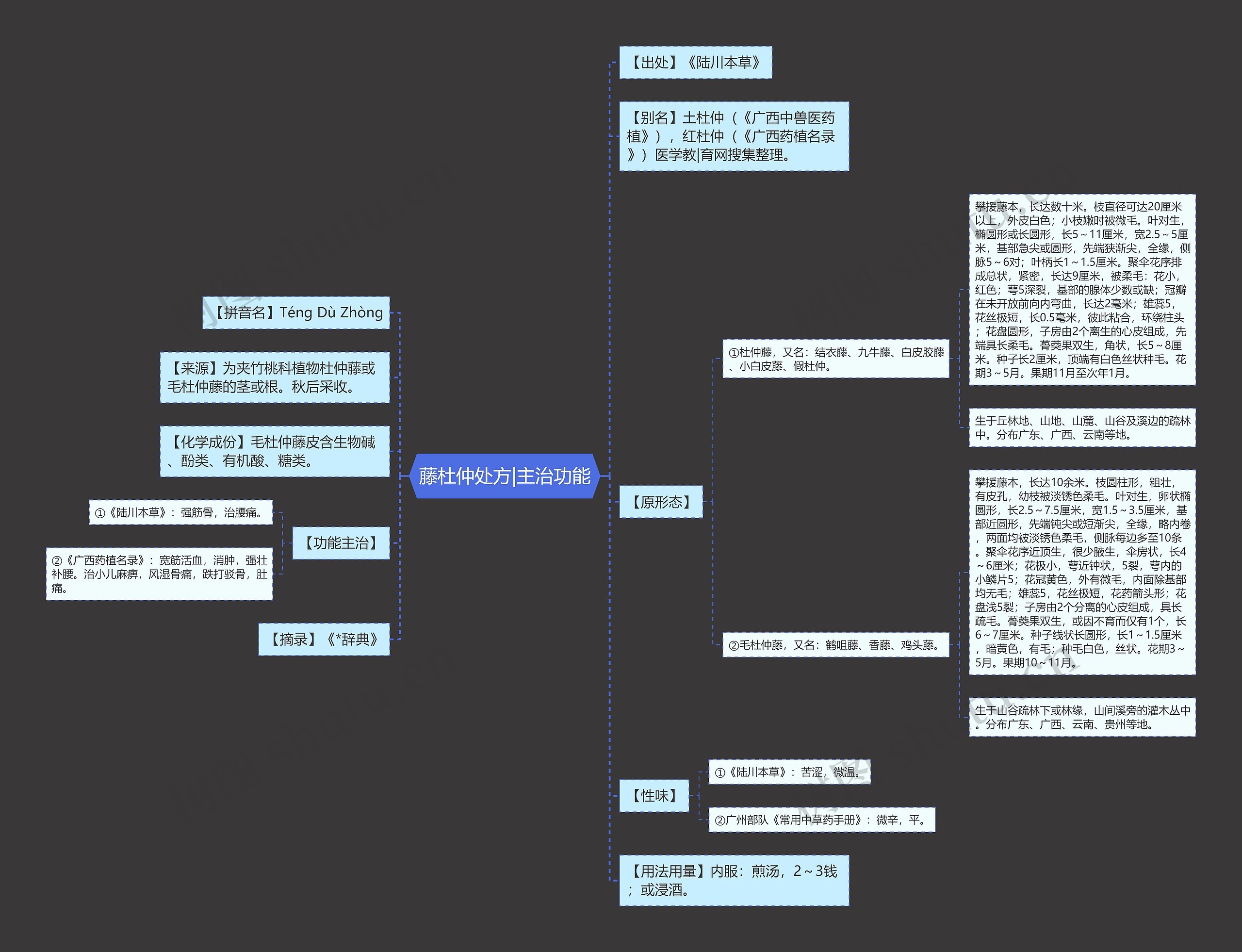 藤杜仲处方|主治功能思维导图