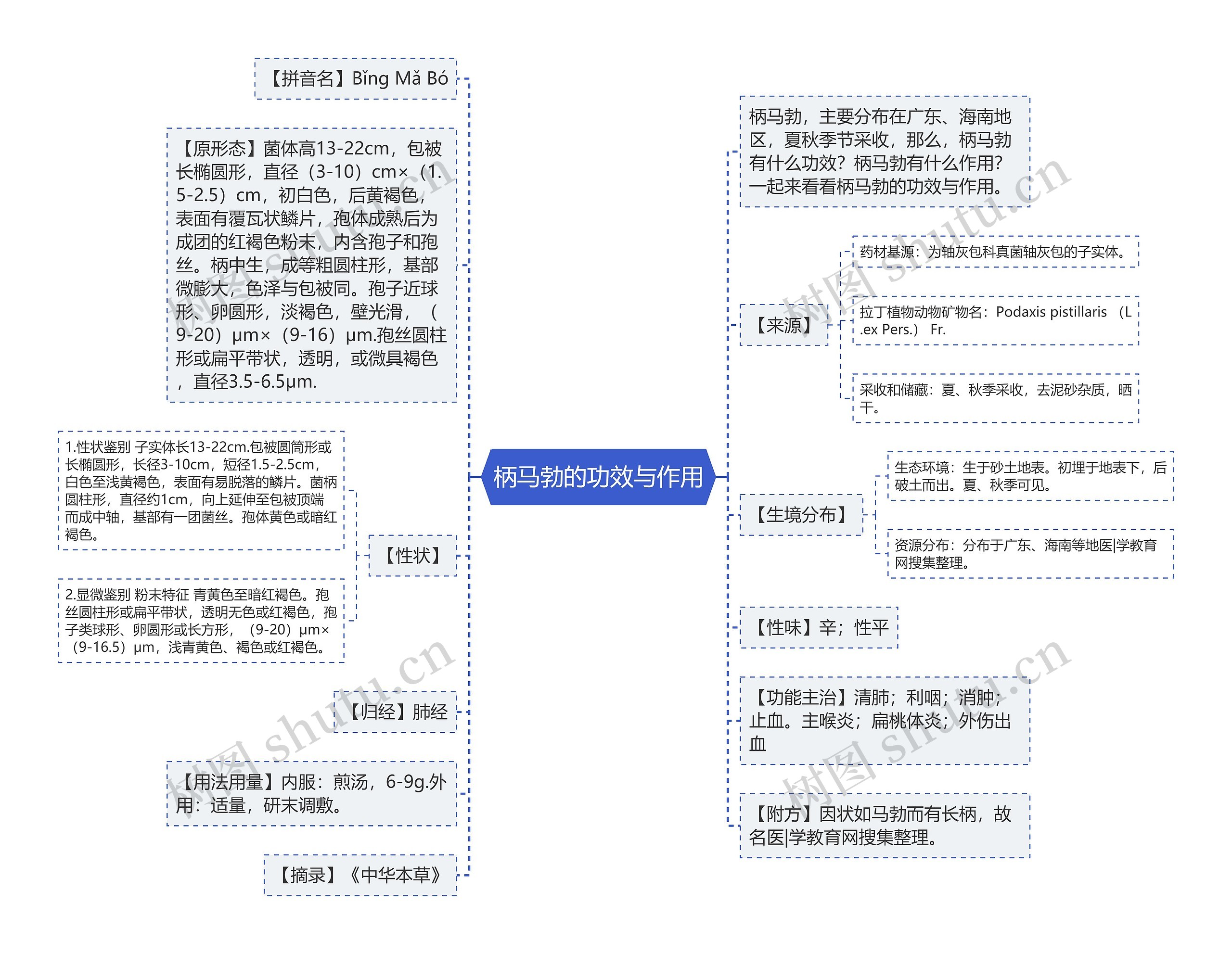 柄马勃的功效与作用思维导图