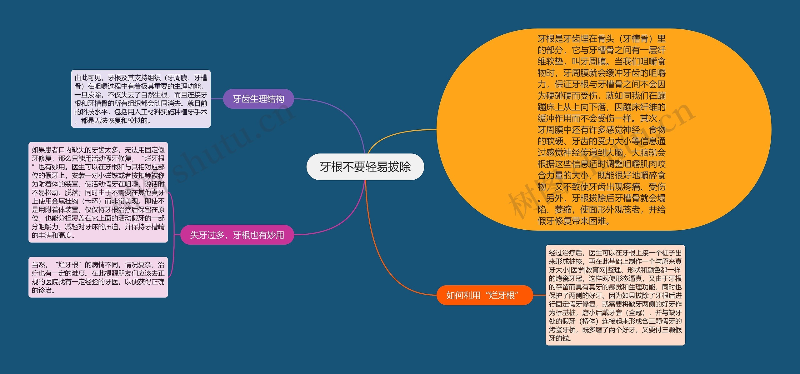 牙根不要轻易拔除思维导图