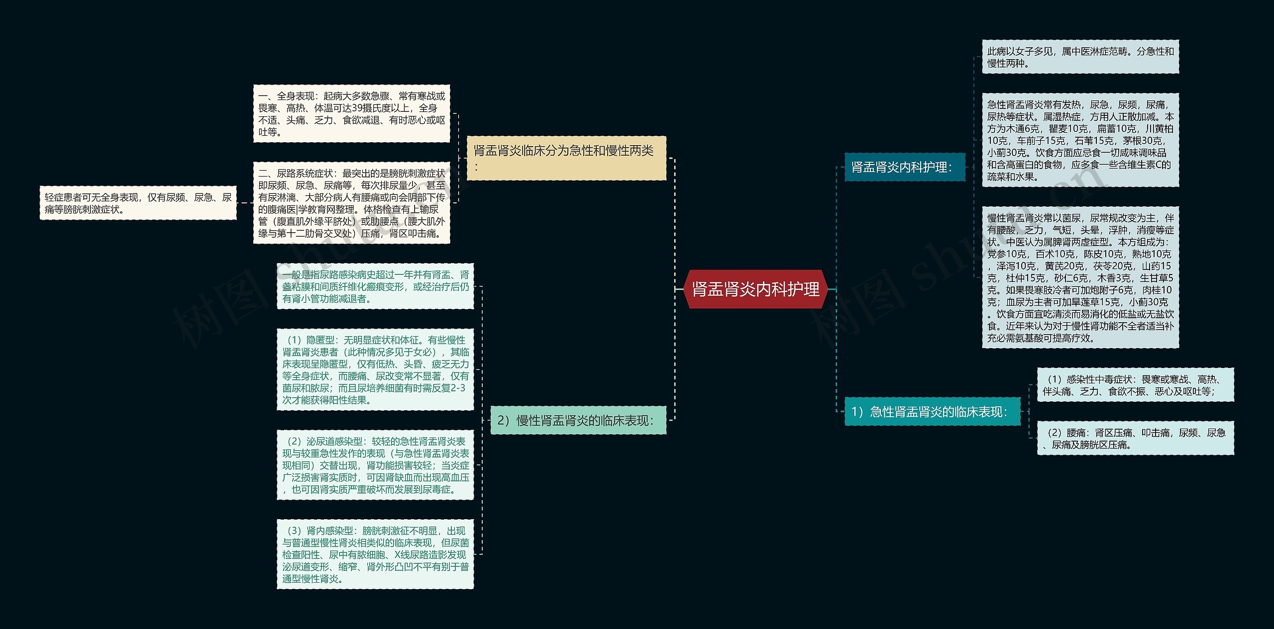 肾盂肾炎内科护理