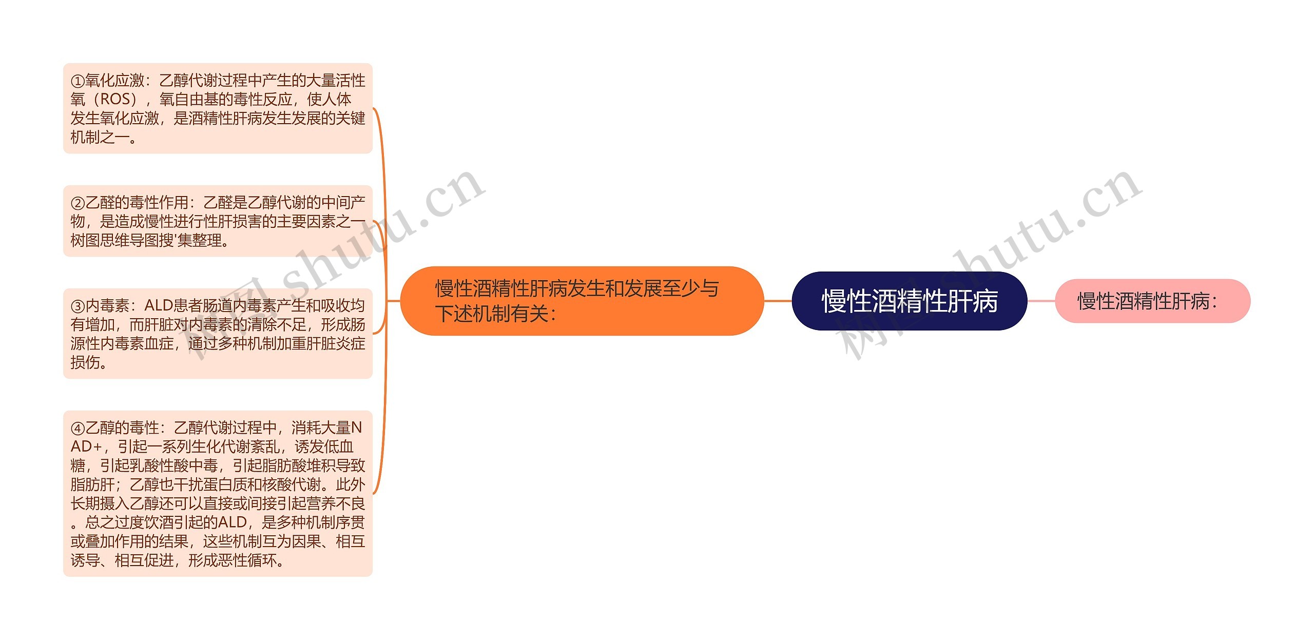 慢性酒精性肝病思维导图