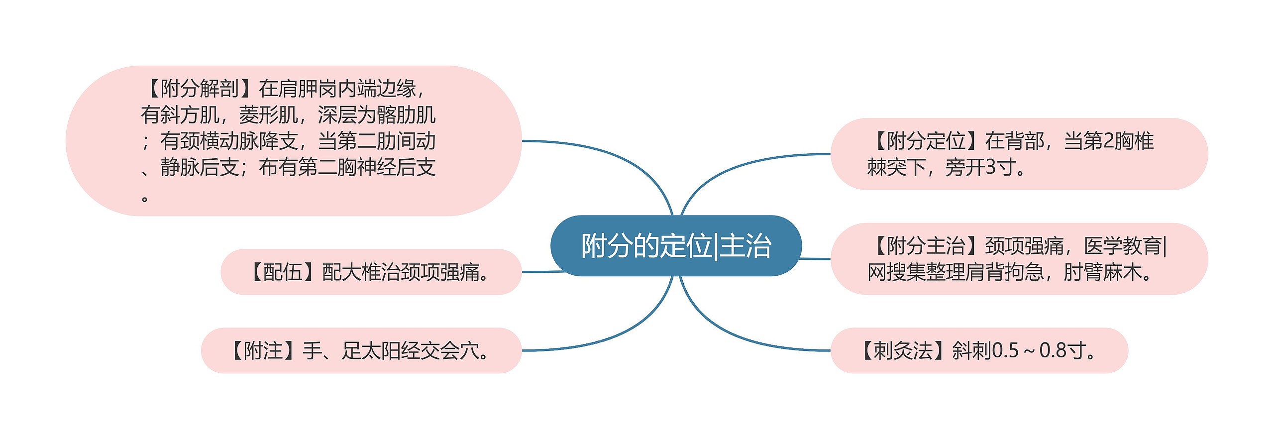 附分的定位|主治