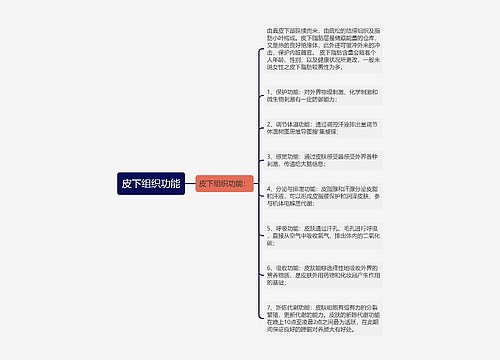 皮下组织功能