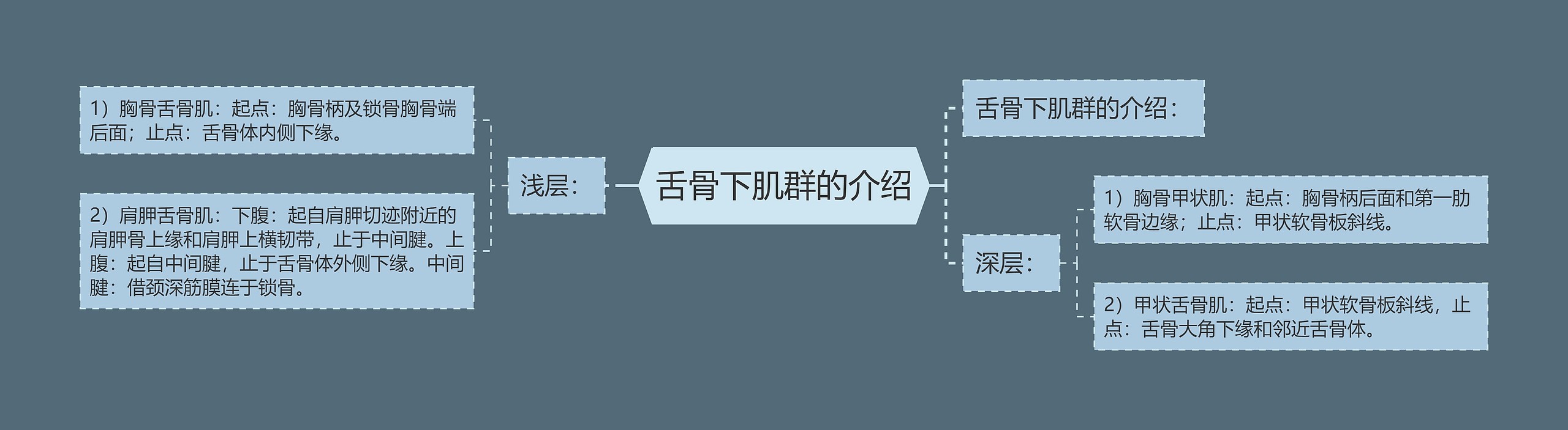 舌骨下肌群的介绍