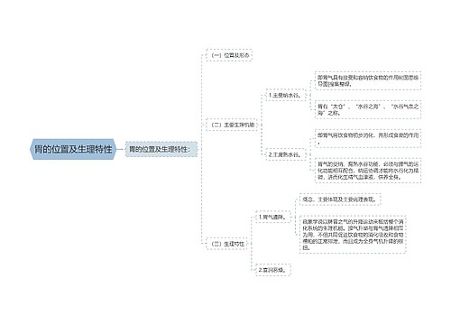 胃的位置及生理特性