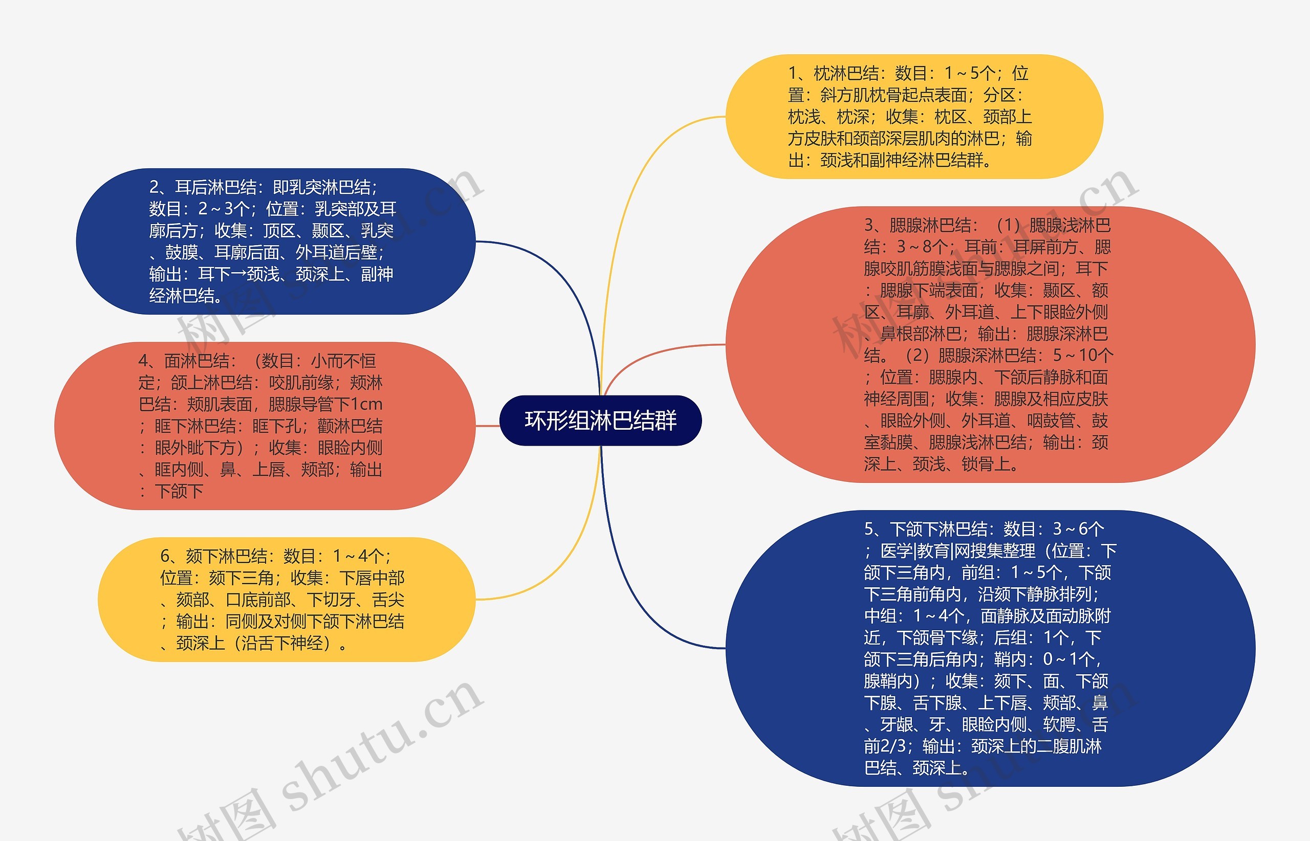 环形组淋巴结群思维导图