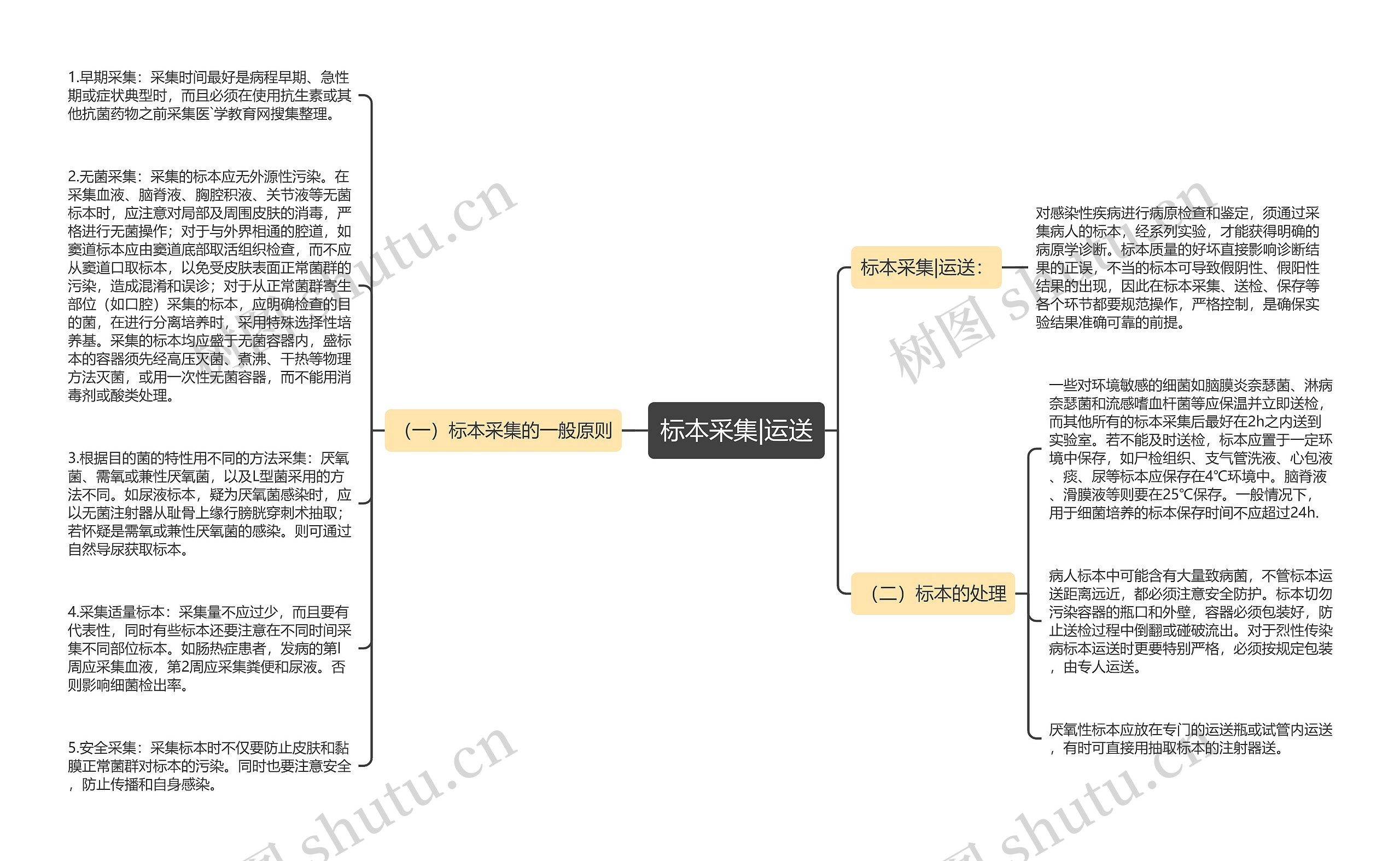 标本采集|运送思维导图