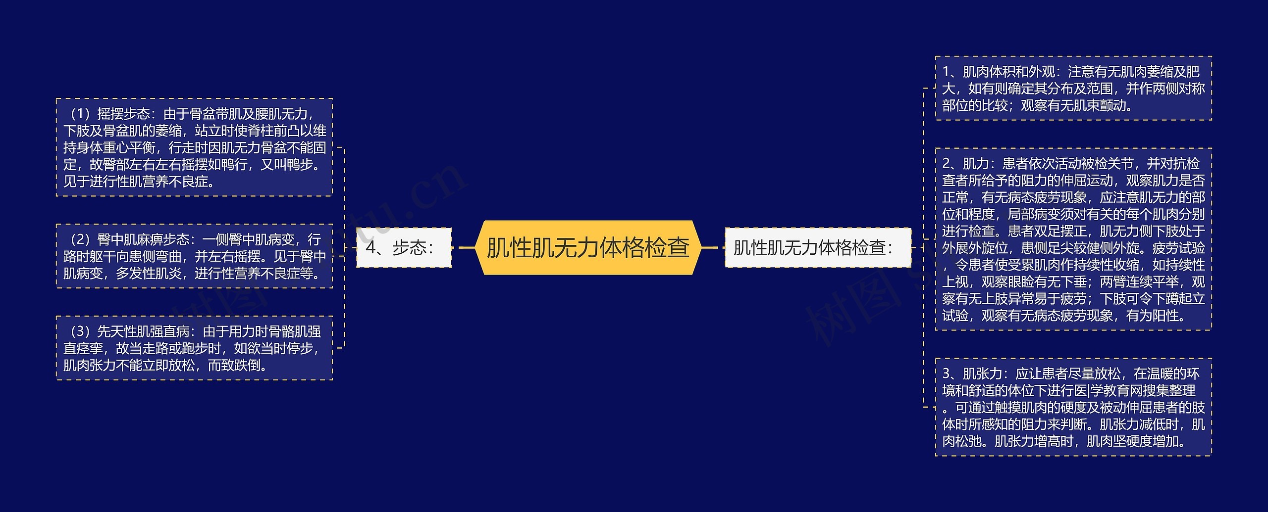 肌性肌无力体格检查思维导图