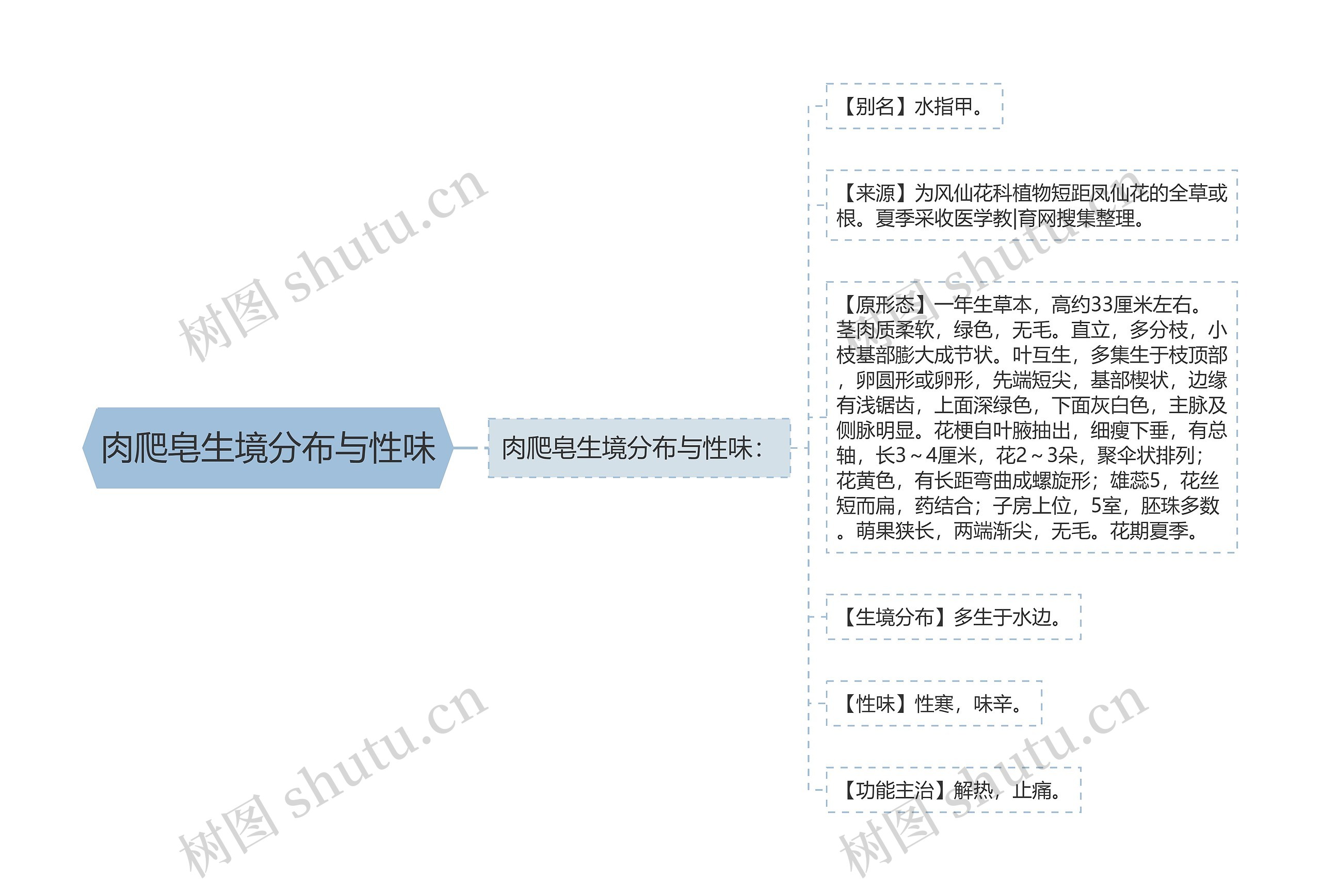 肉爬皂生境分布与性味思维导图