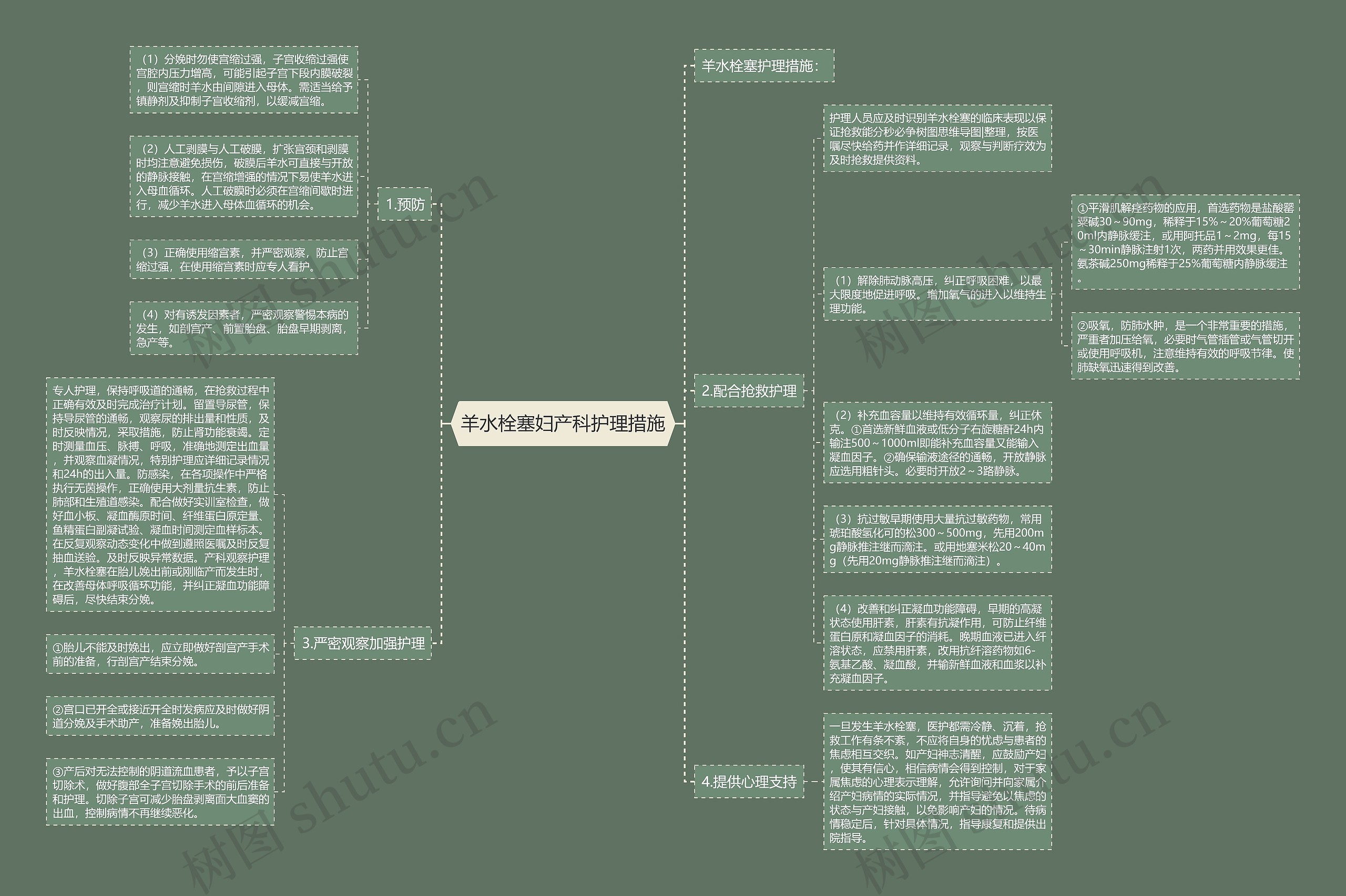 羊水栓塞妇产科护理措施思维导图
