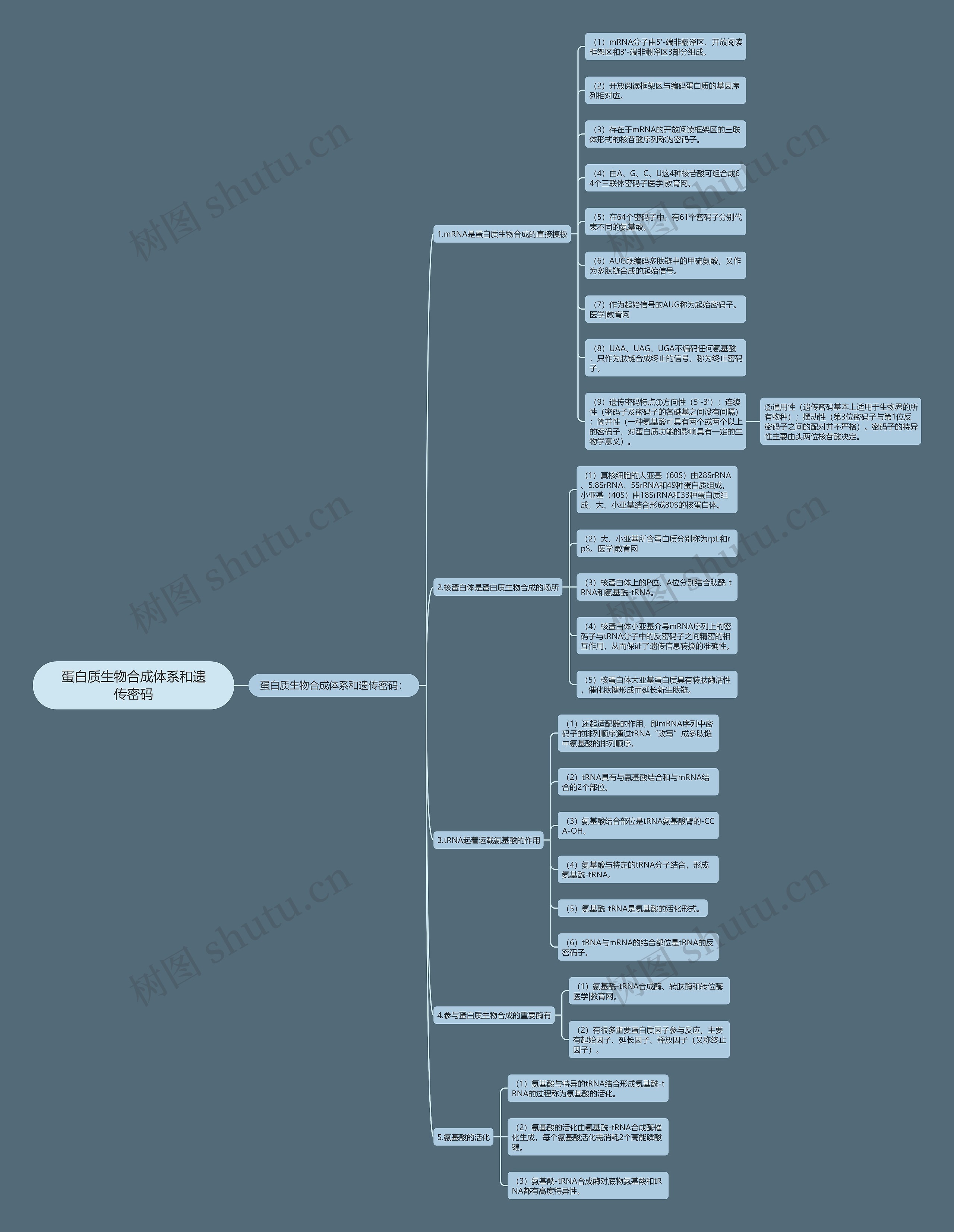 蛋白质生物合成体系和遗传密码 蛋白质生物合成体系和遗传密码