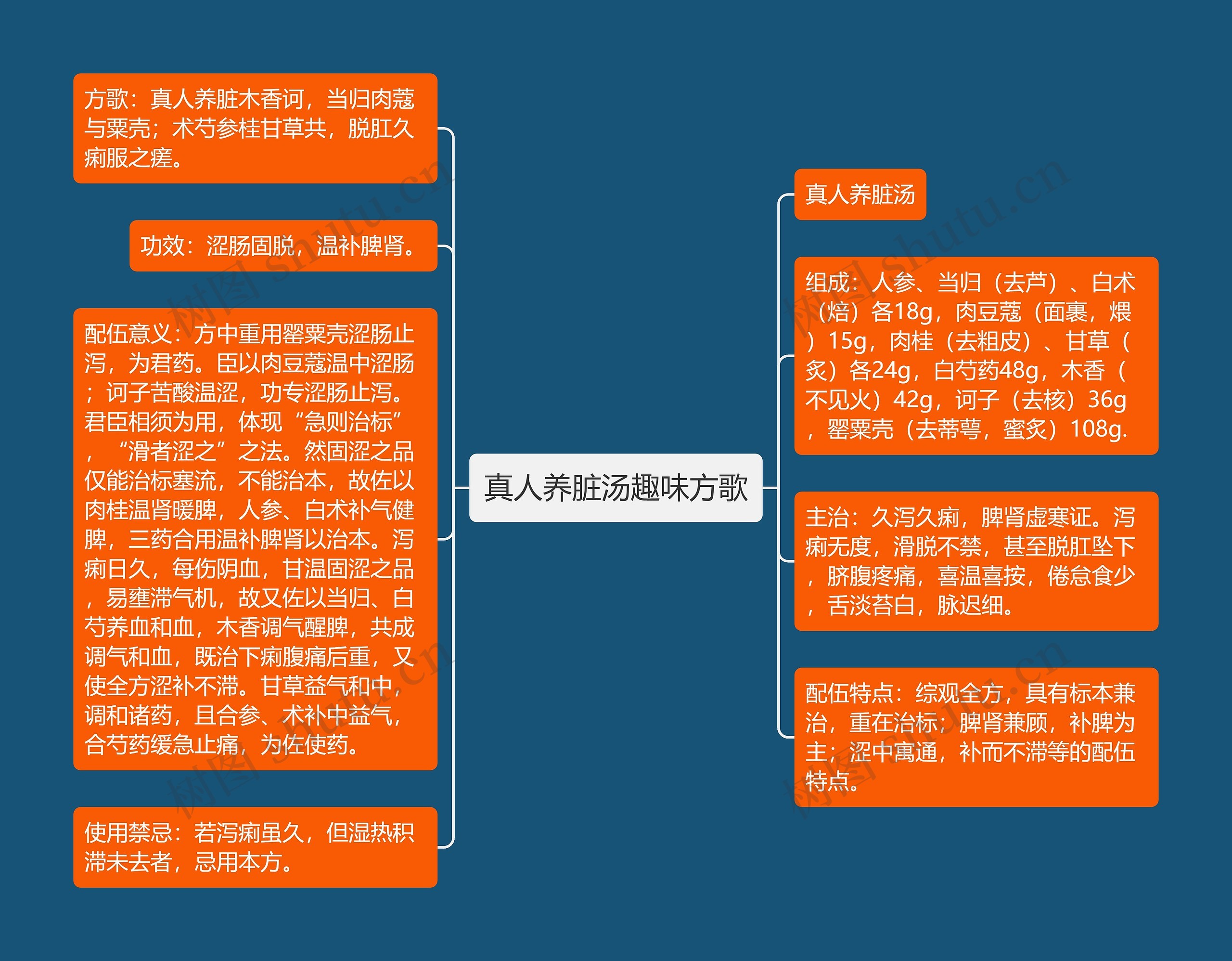 真人养脏汤趣味方歌思维导图