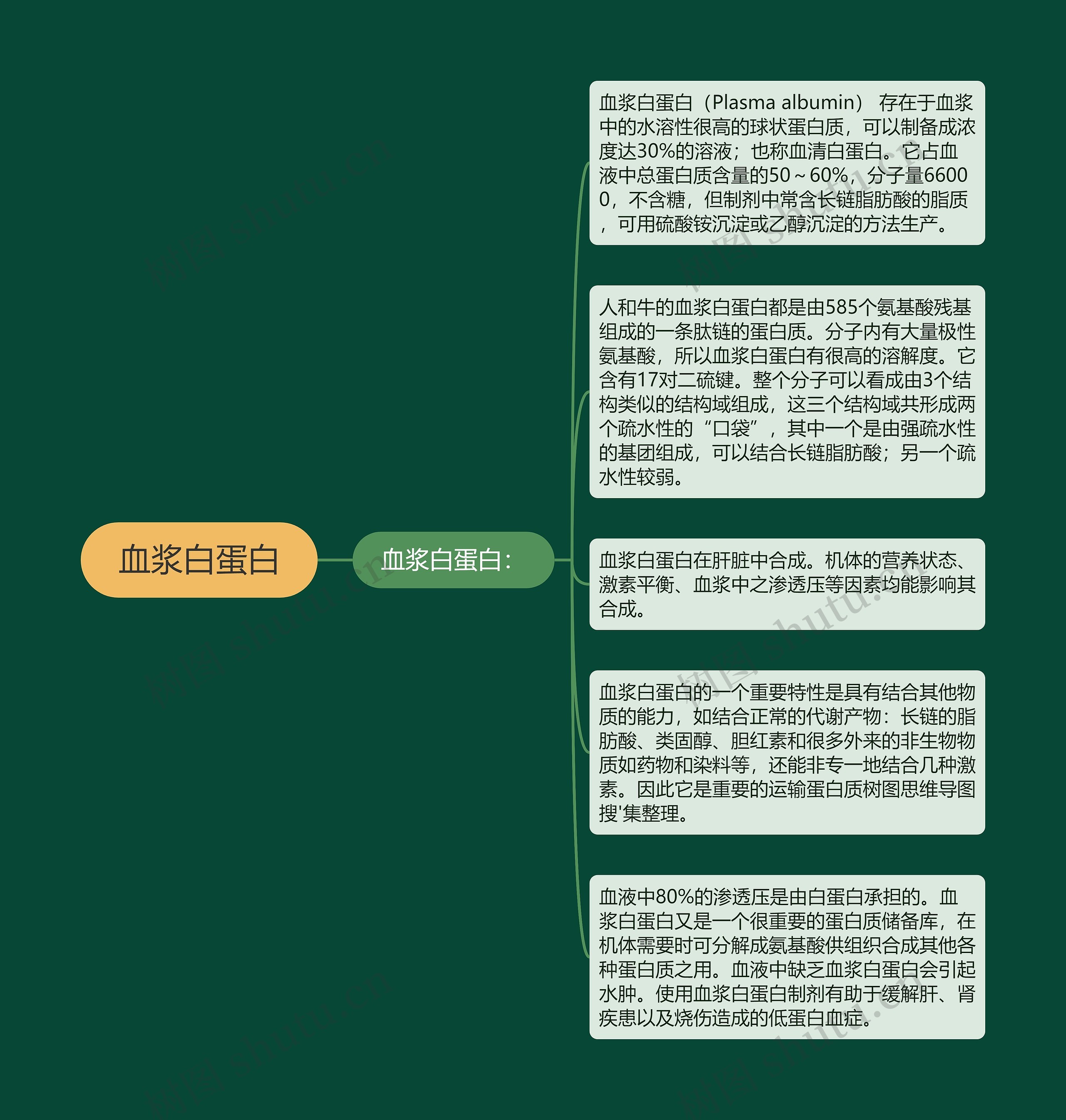 血浆白蛋白