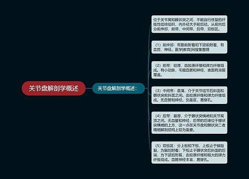 关节盘解剖学概述