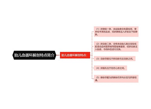 胎儿血循环解剖特点简介