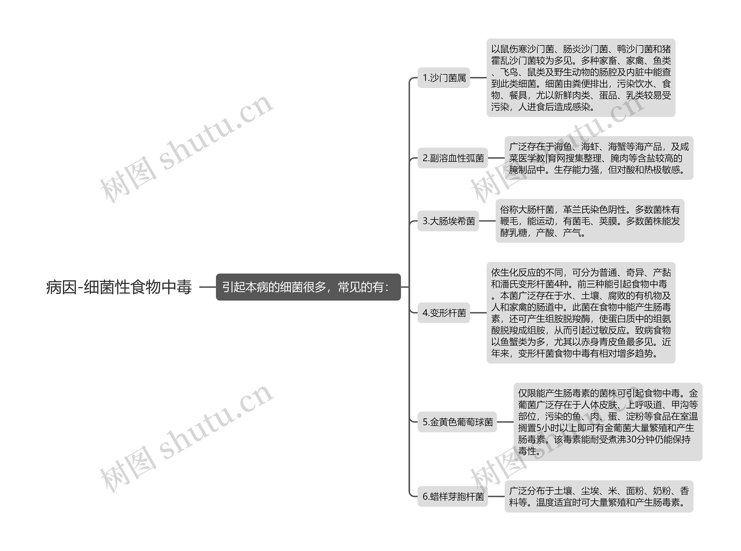 病因-细菌性食物中毒思维导图