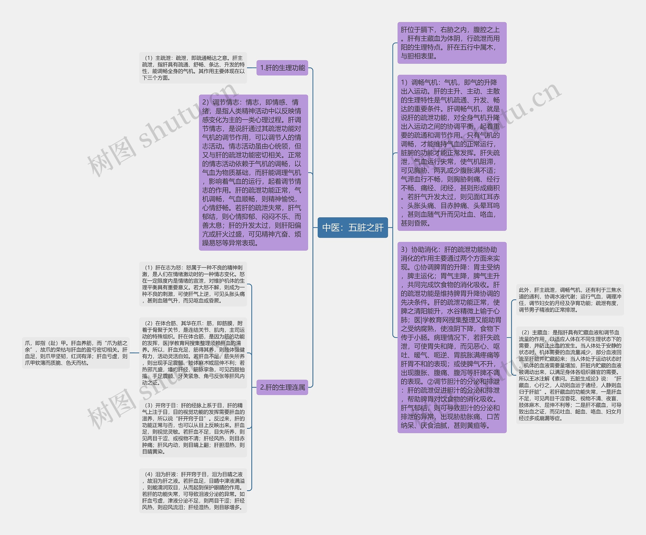 中医：五脏之肝思维导图