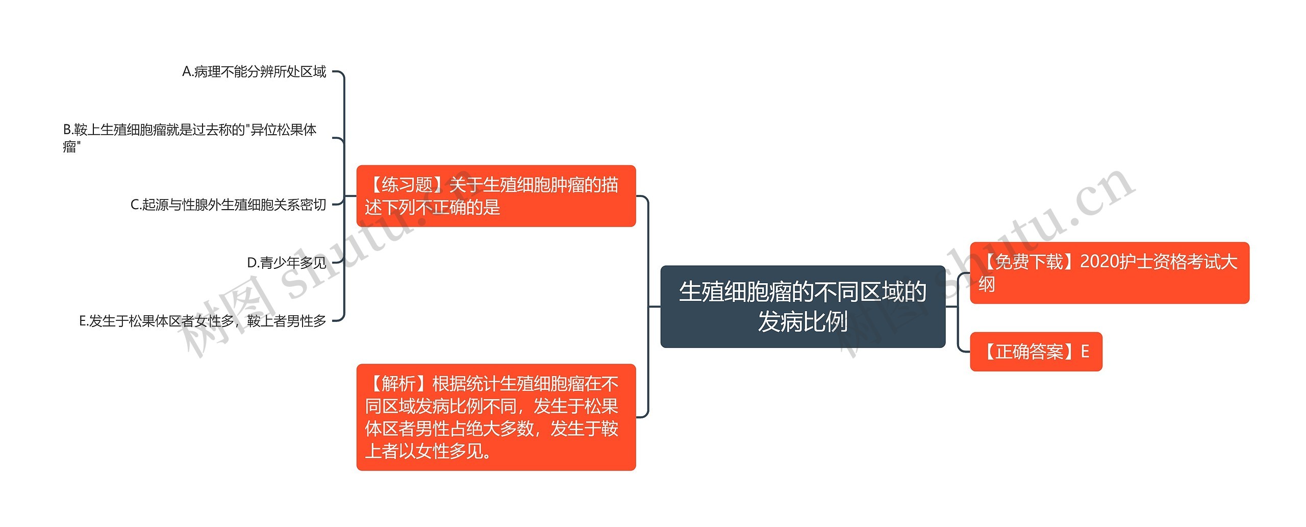 生殖细胞瘤的不同区域的发病比例