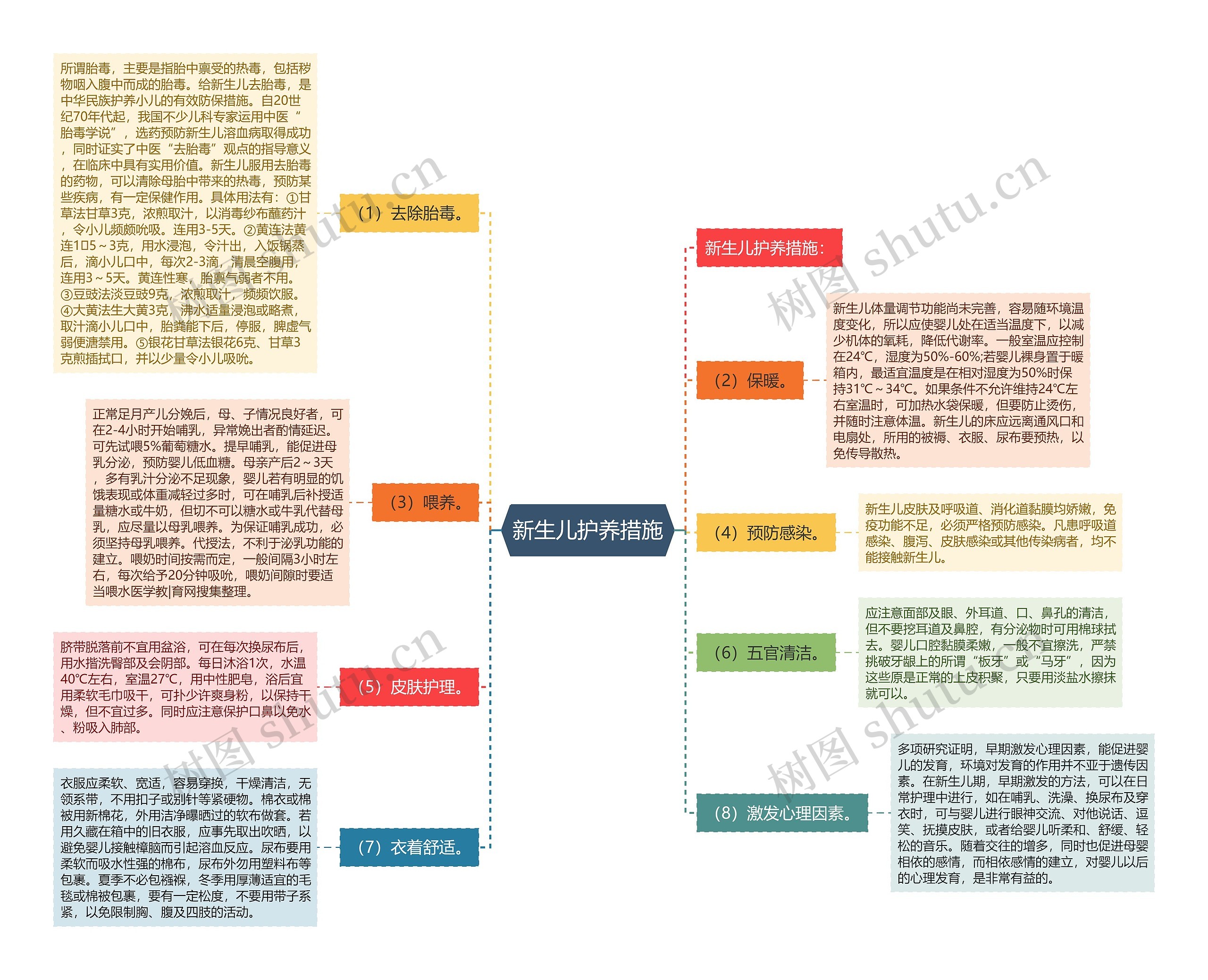 新生儿护养措施思维导图