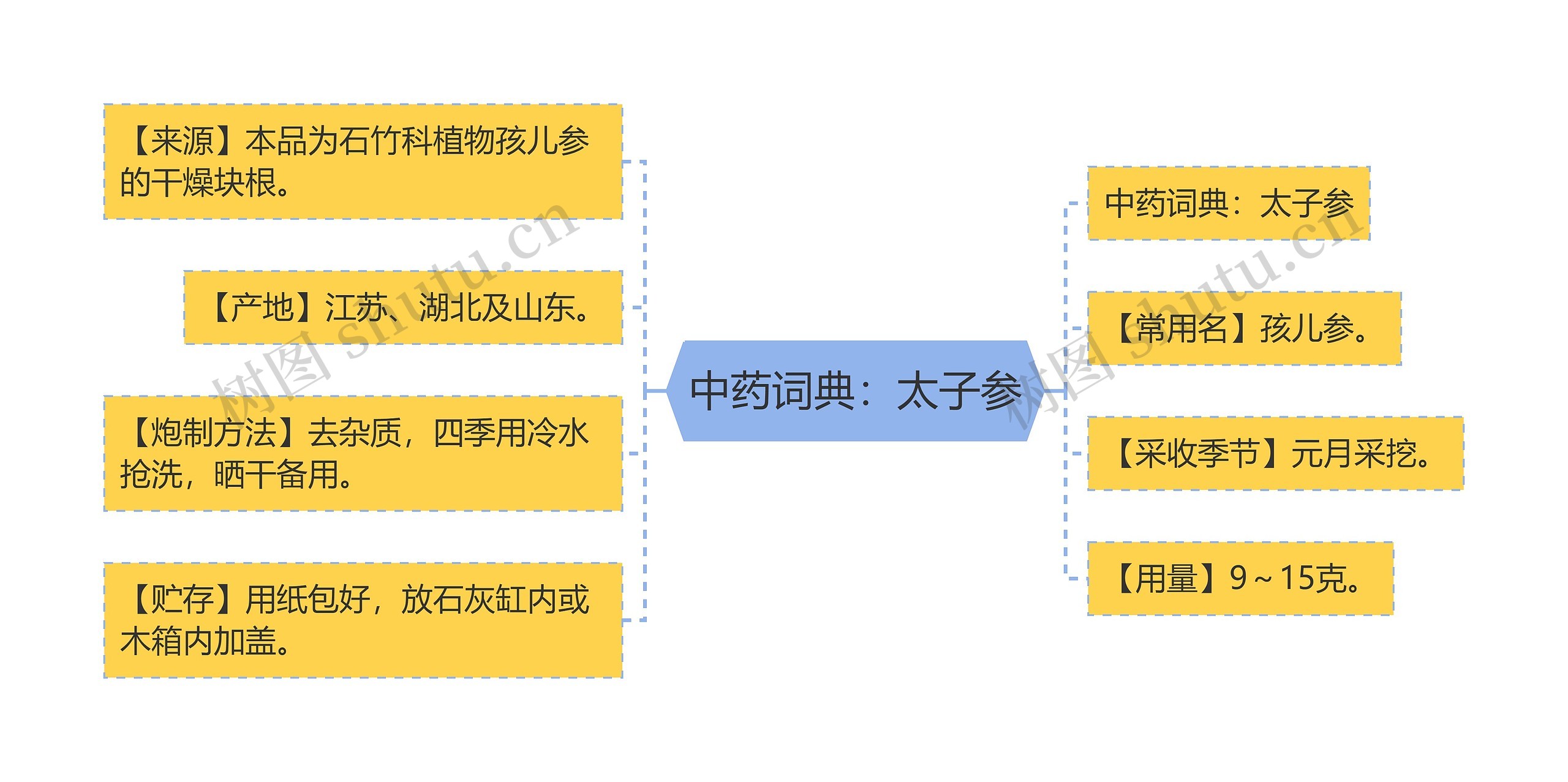 中药词典：太子参思维导图