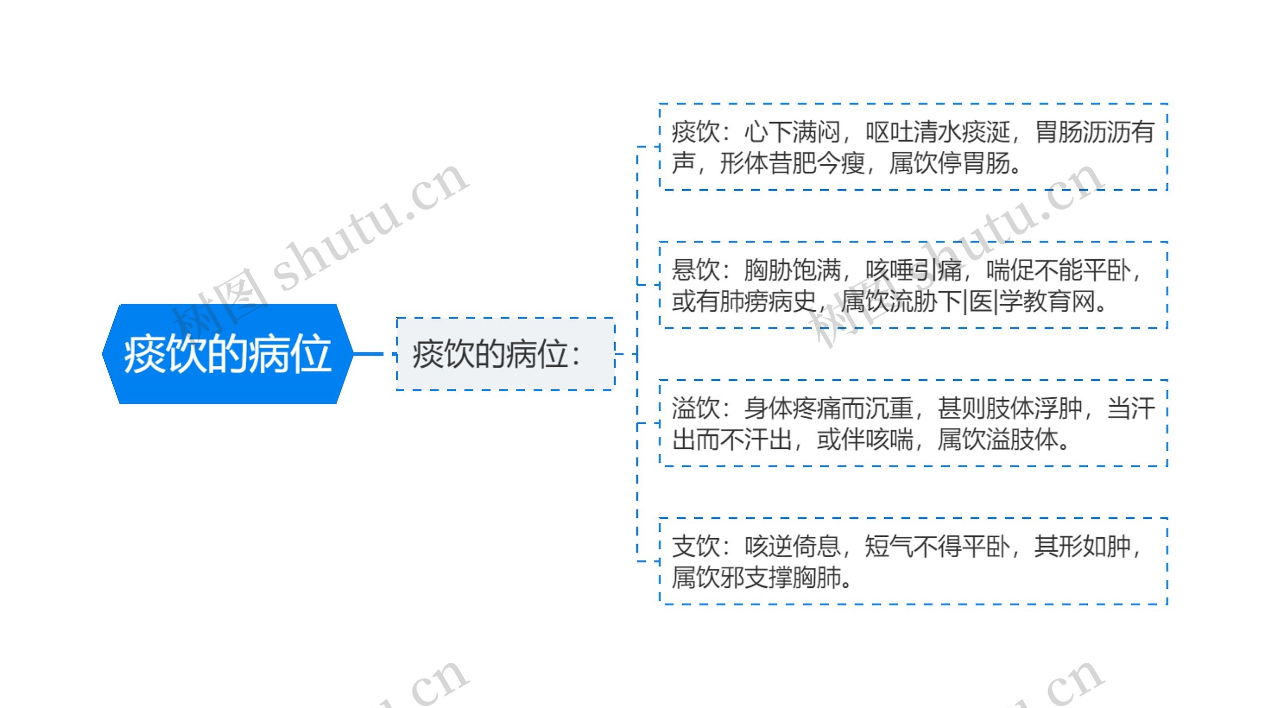 痰饮的病位