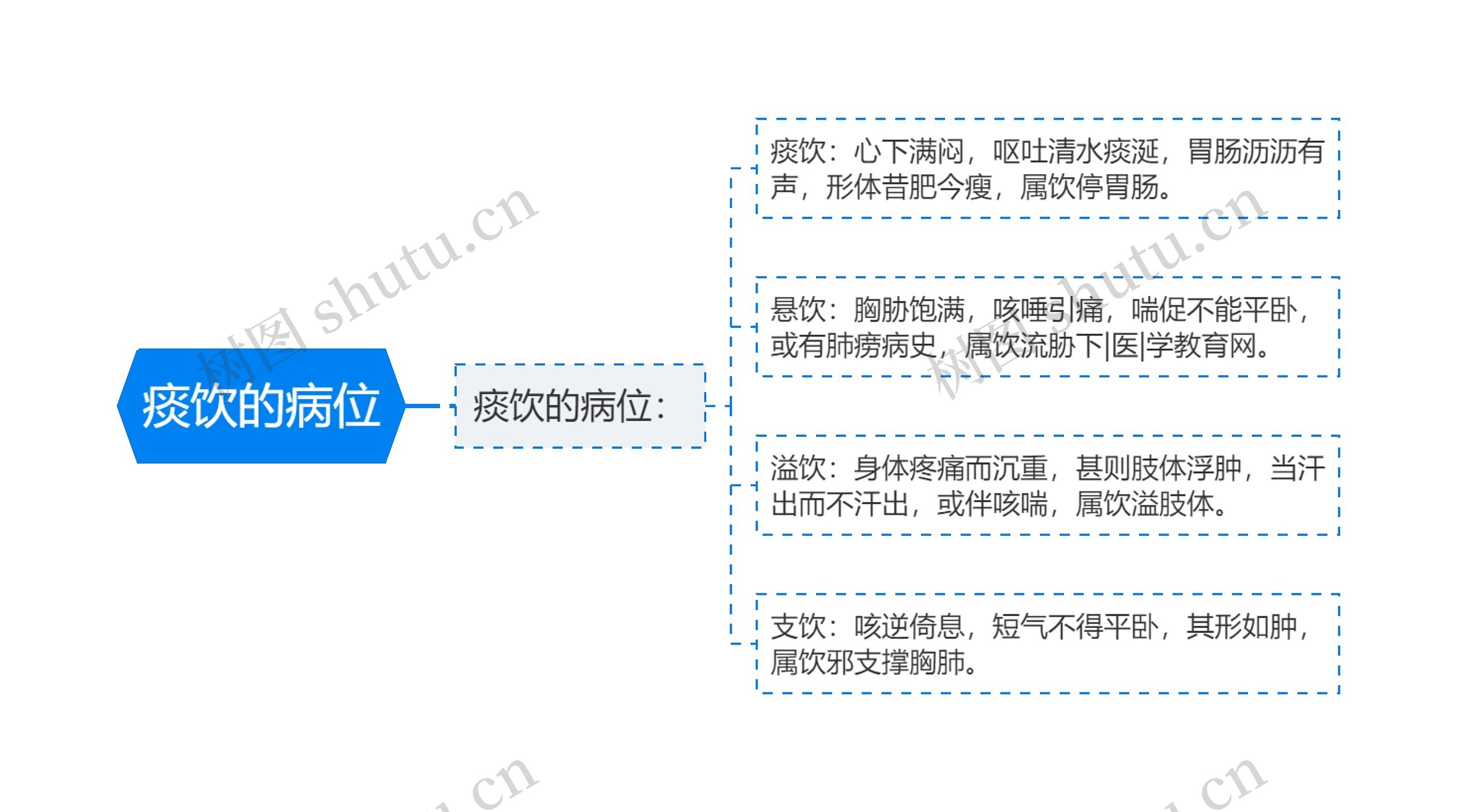 痰饮的病位思维导图