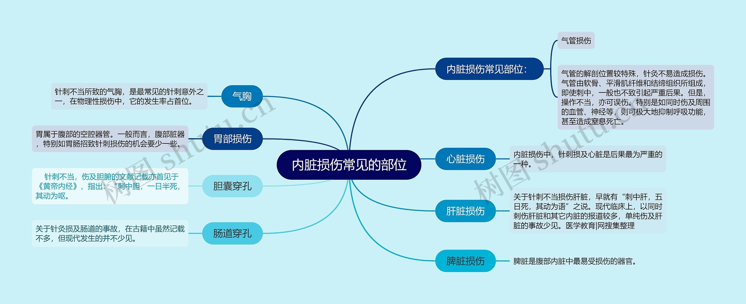 内脏损伤常见的部位思维导图