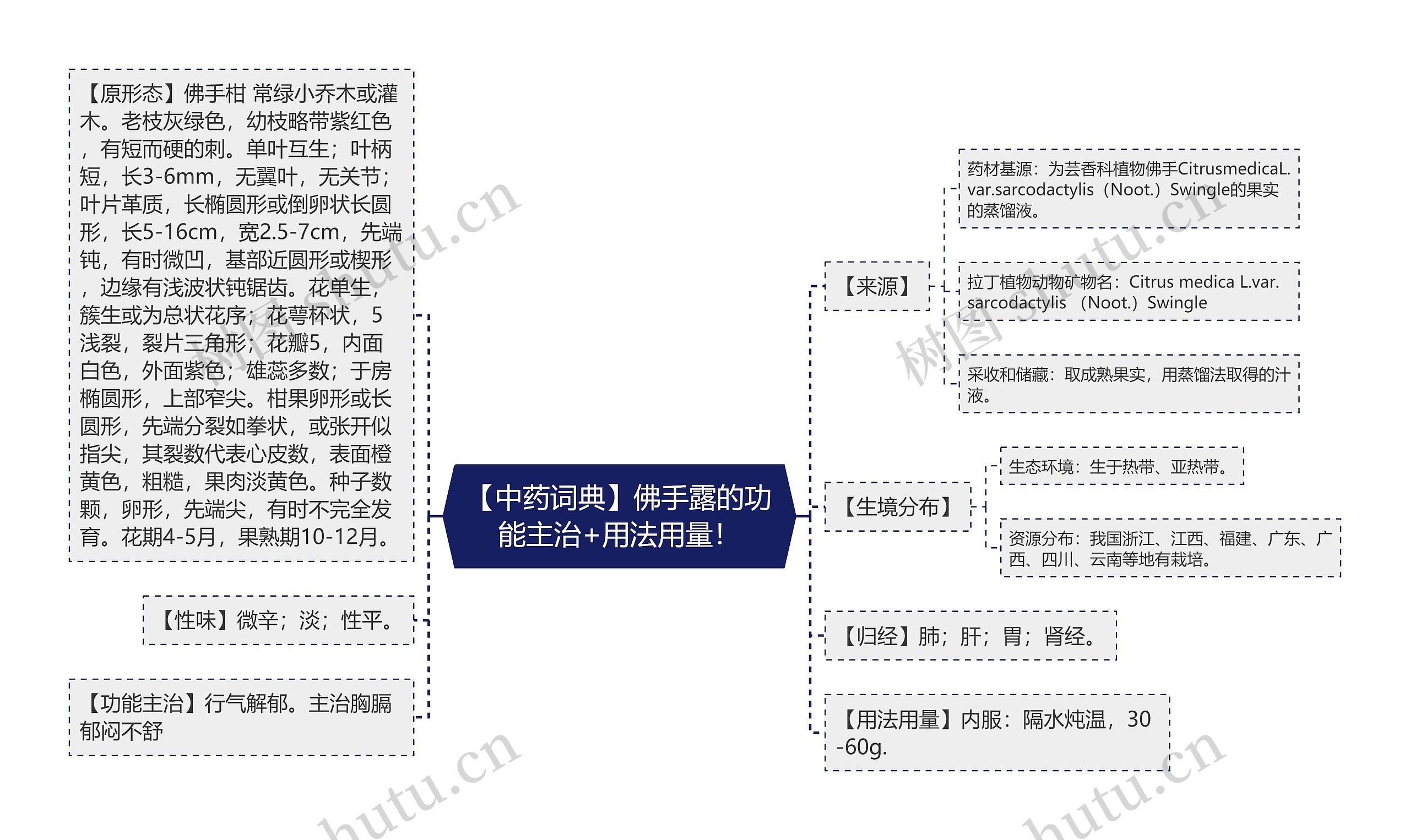 【中药词典】佛手露的功能主治+用法用量！