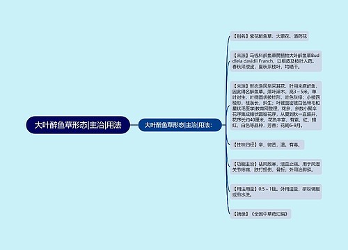 大叶醉鱼草形态|主治|用法