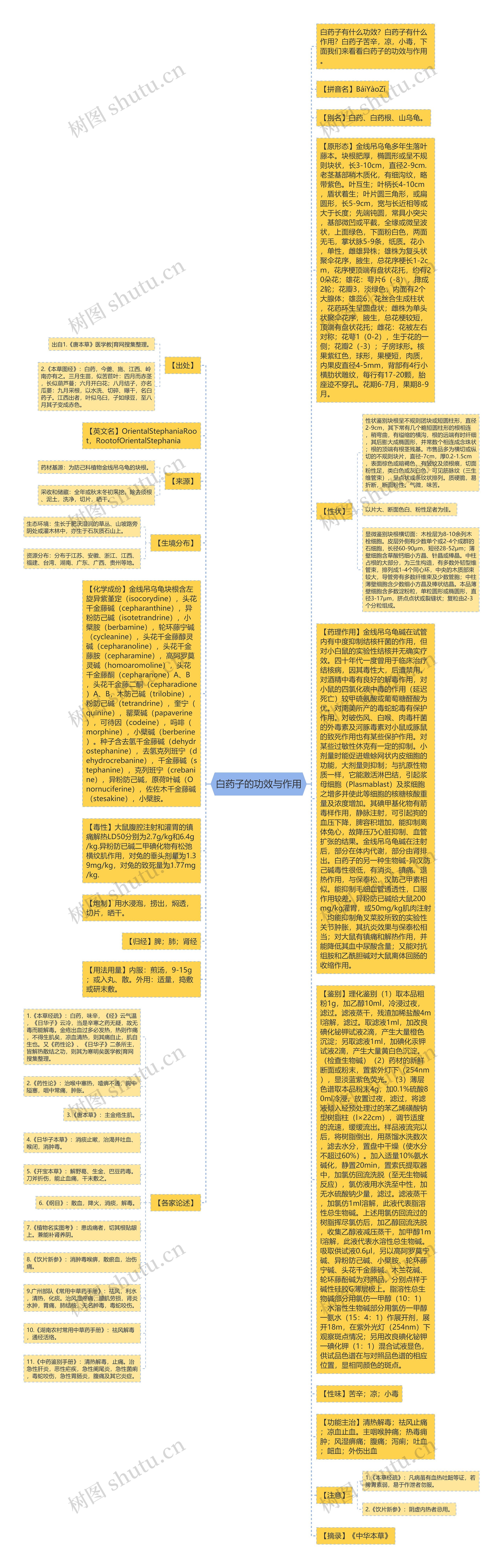 白药子的功效与作用