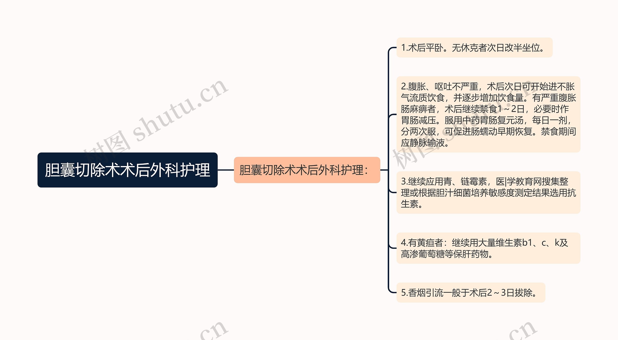 胆囊切除术术后外科护理思维导图