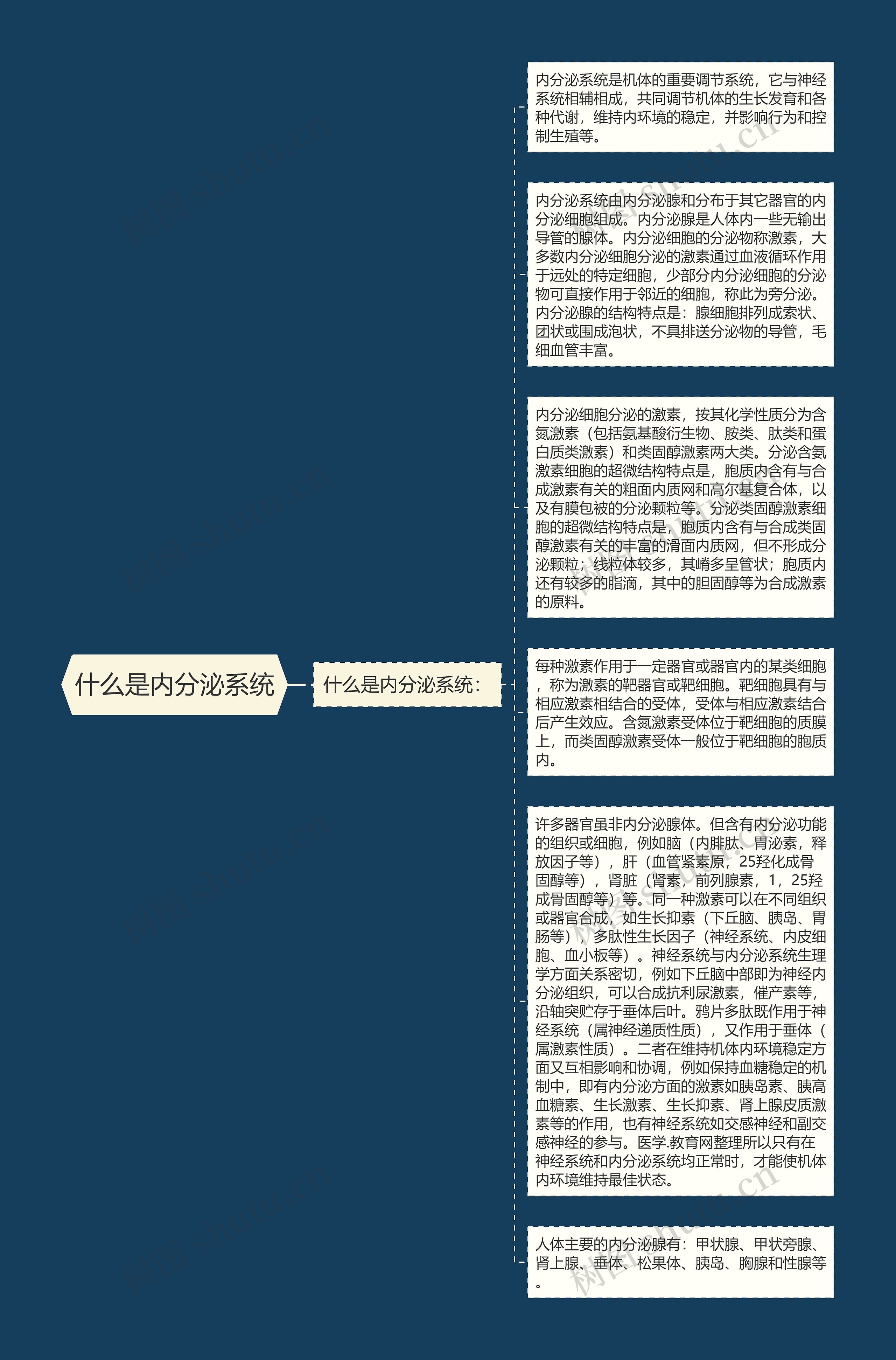 什么是内分泌系统思维导图