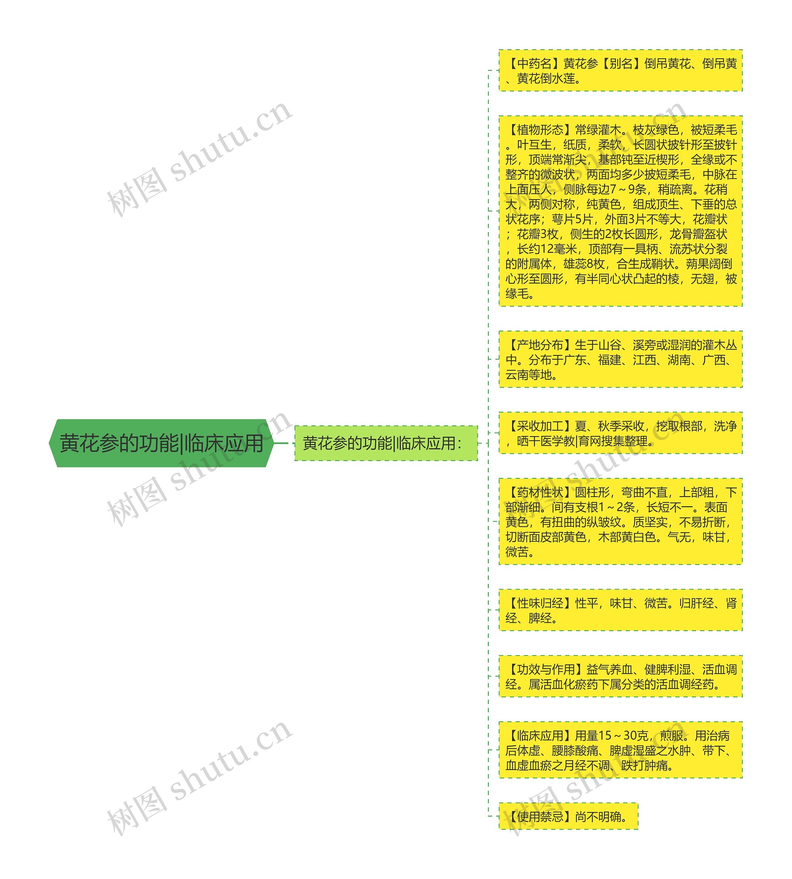 黄花参的功能|临床应用 黄花参的功能|临床应用