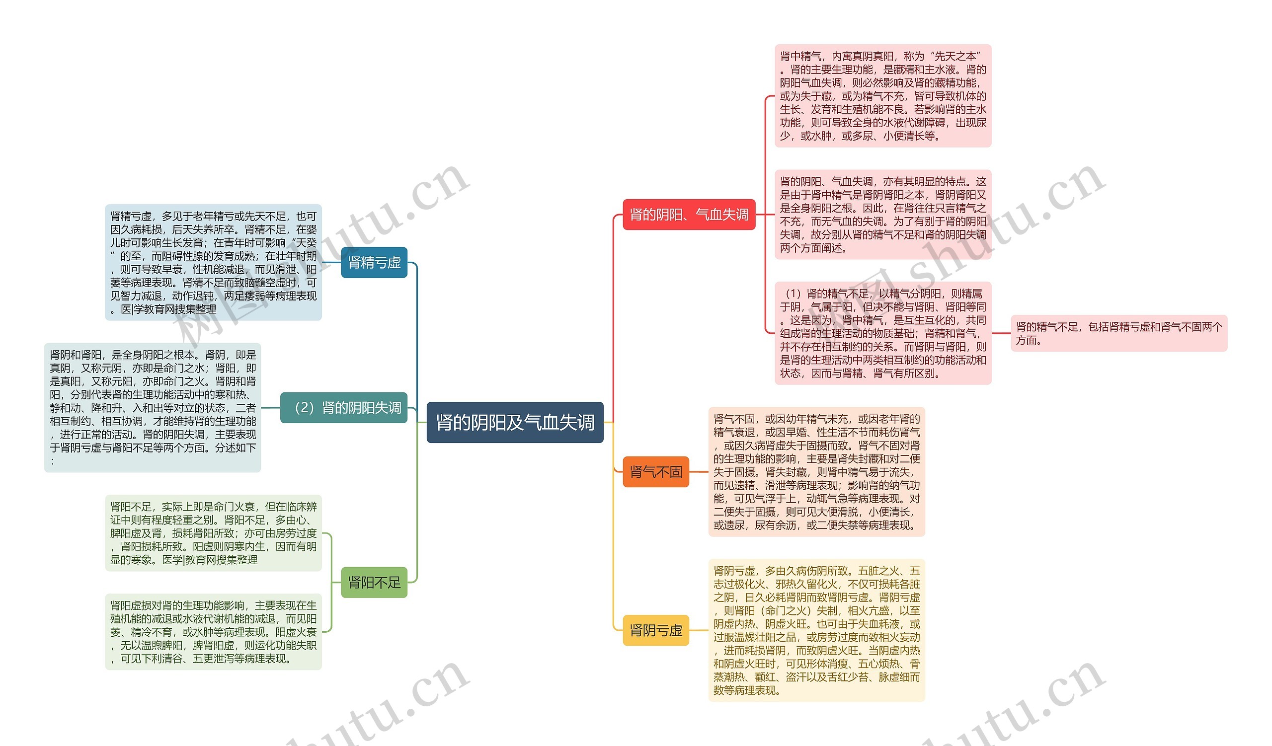 肾的阴阳及气血失调思维导图