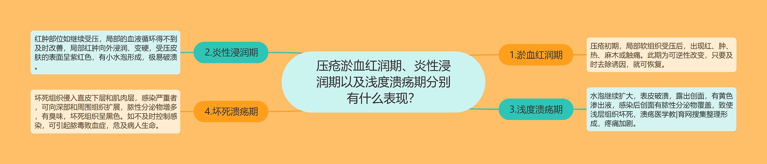 压疮淤血红润期、炎性浸润期以及浅度溃疡期分别有什么表现？思维导图