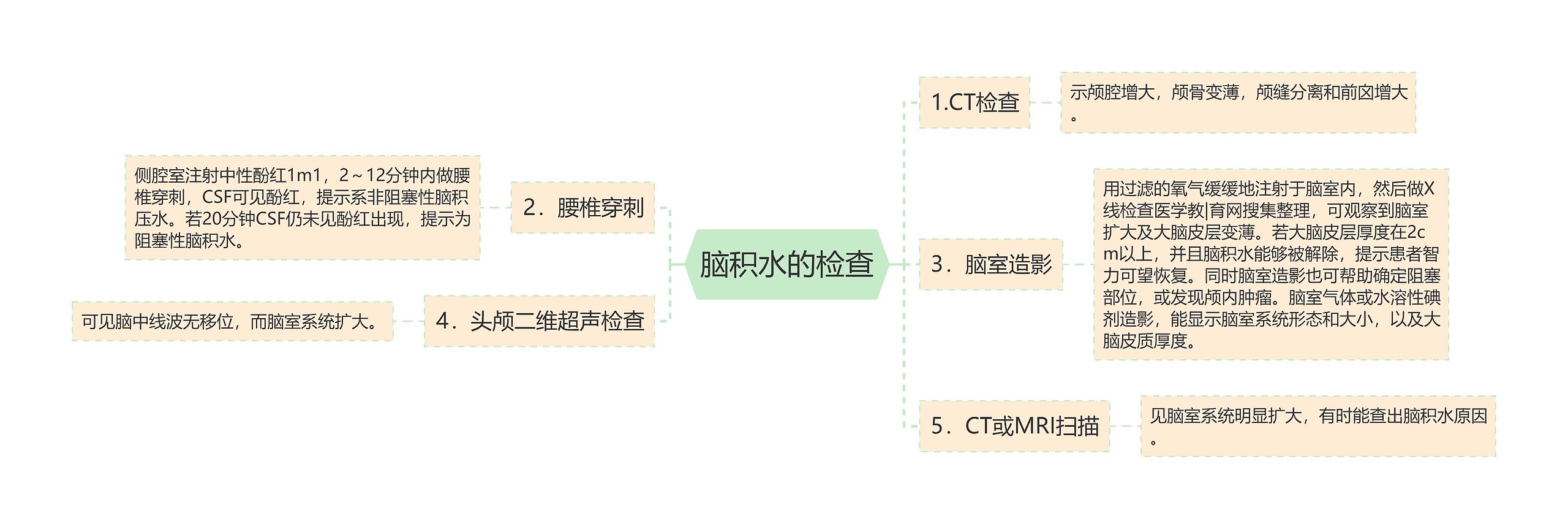 脑积水的检查