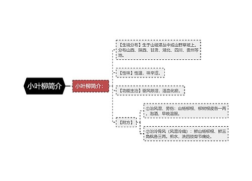 小叶柳简介